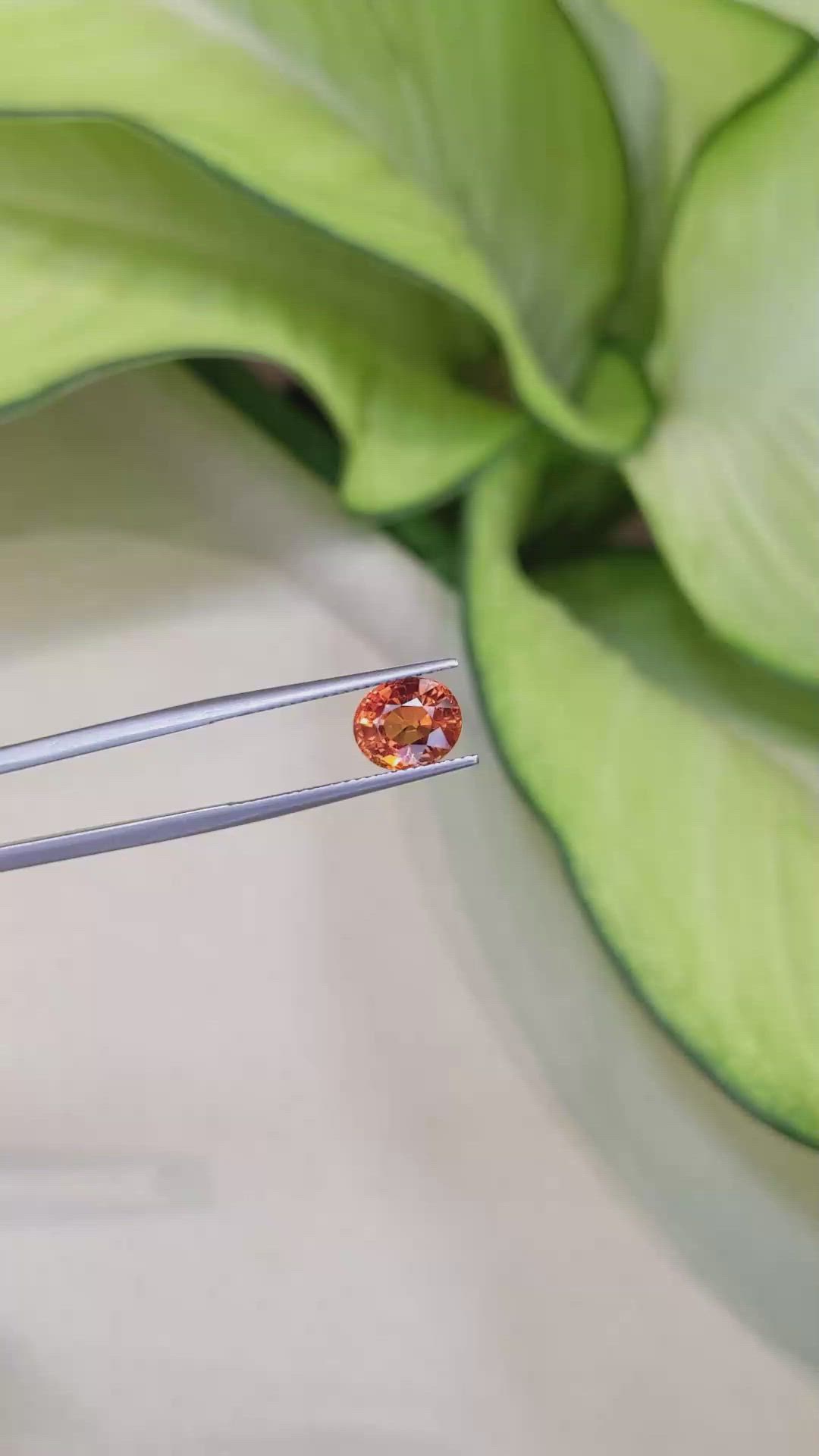 3.14 Ct. Spessartite Garnet from Ceylon (Sri Lanka) Size Video