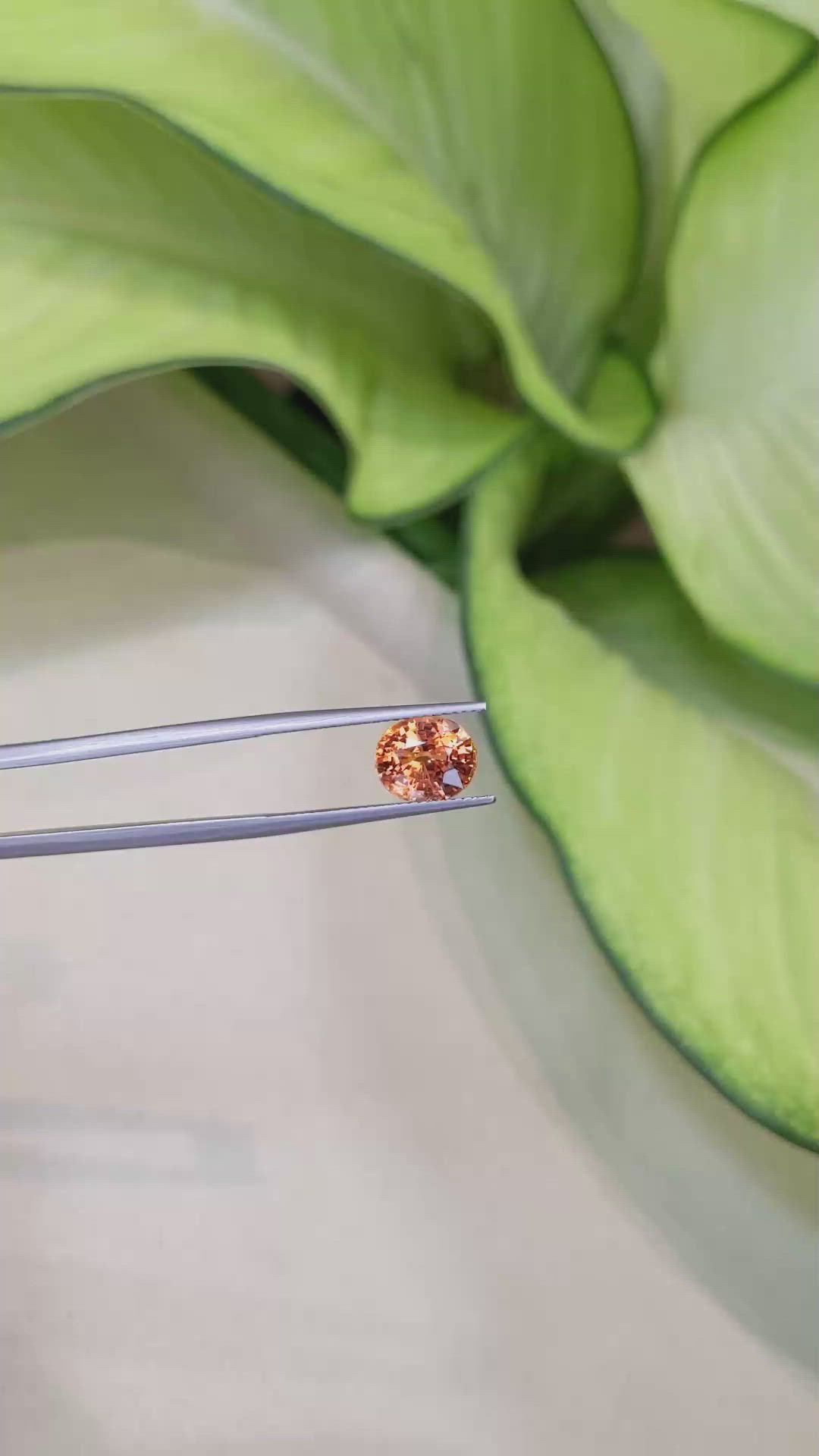3.74 Ct. Spessartite Garnet from Ceylon (Sri Lanka) Size Video
