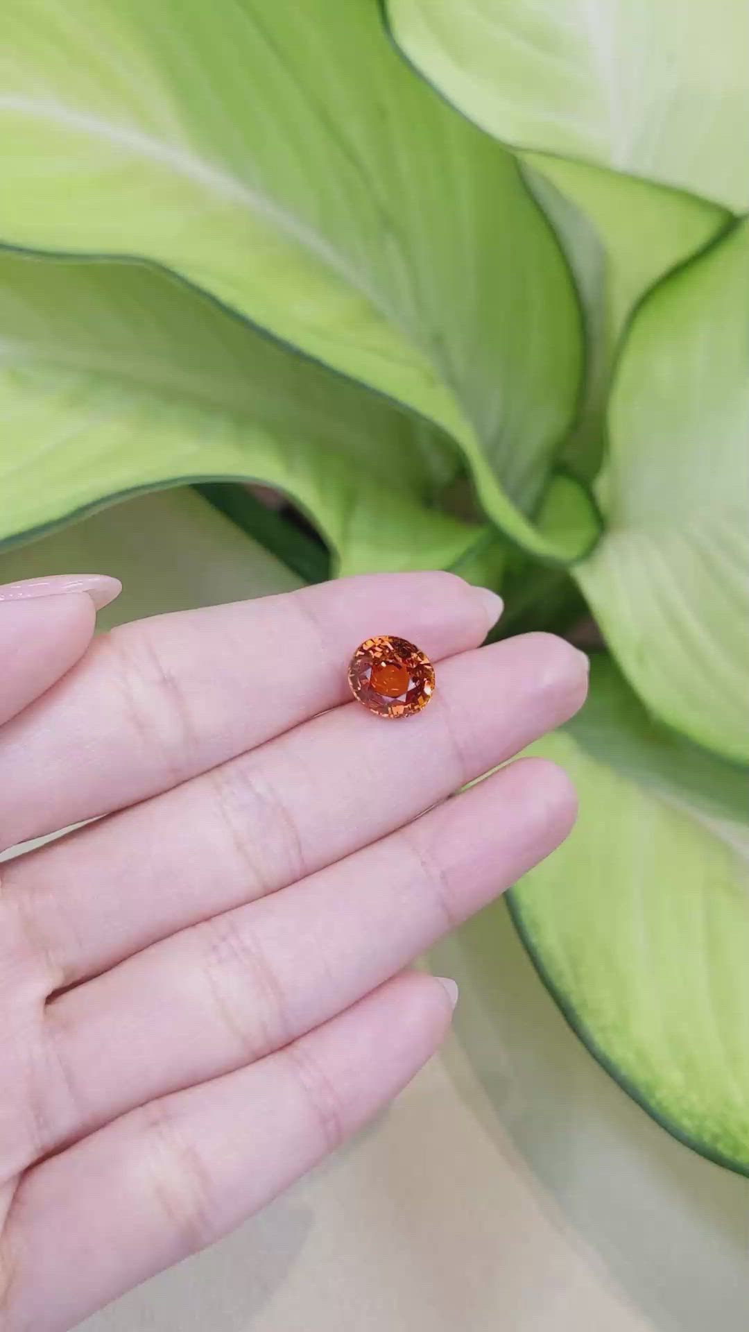 5.24 Ct. Spessartite Garnet from Ceylon (Sri Lanka) Size Video