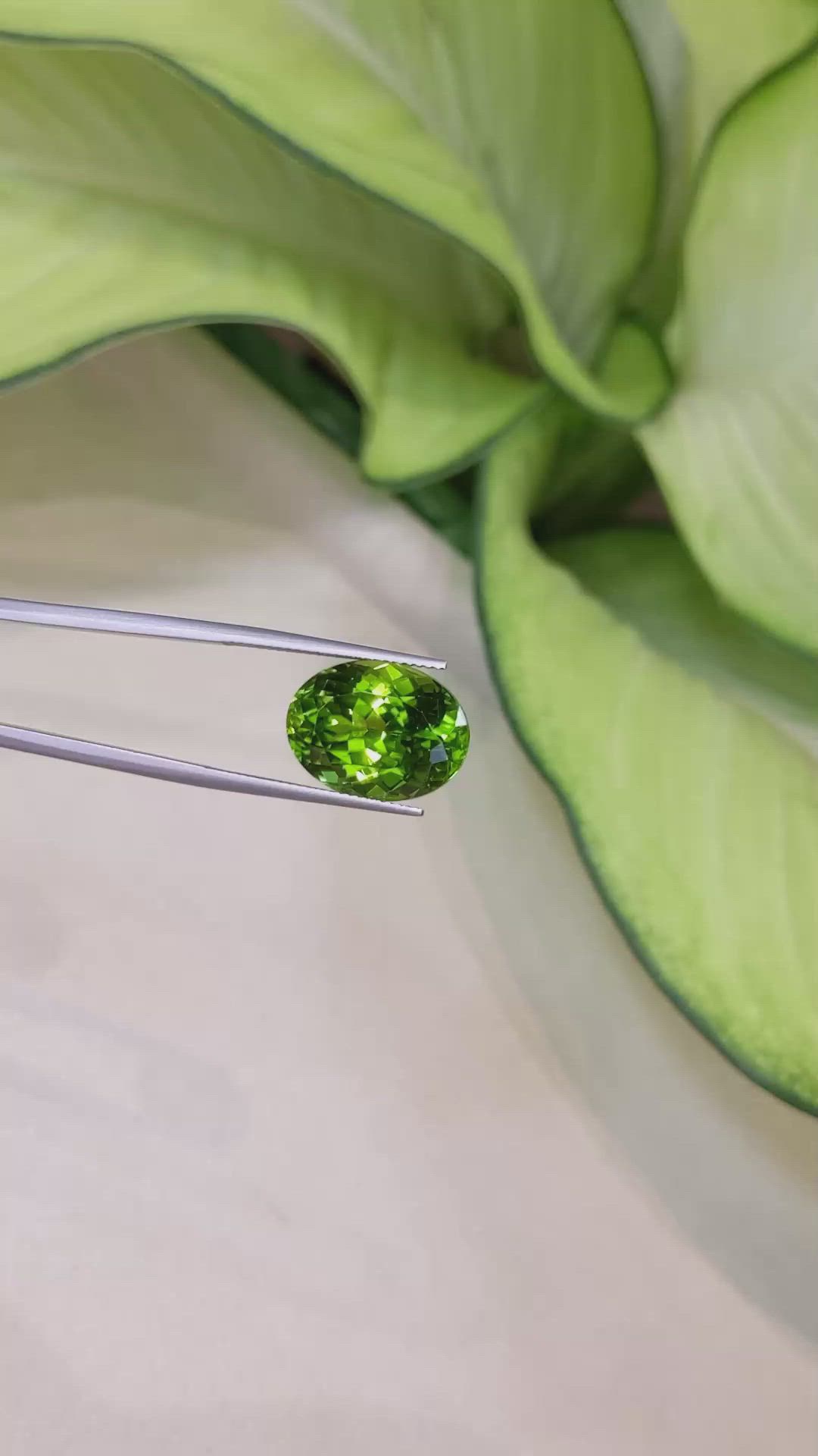 13.67 Ct. Peridot from Burma (Myanmar) Size Video