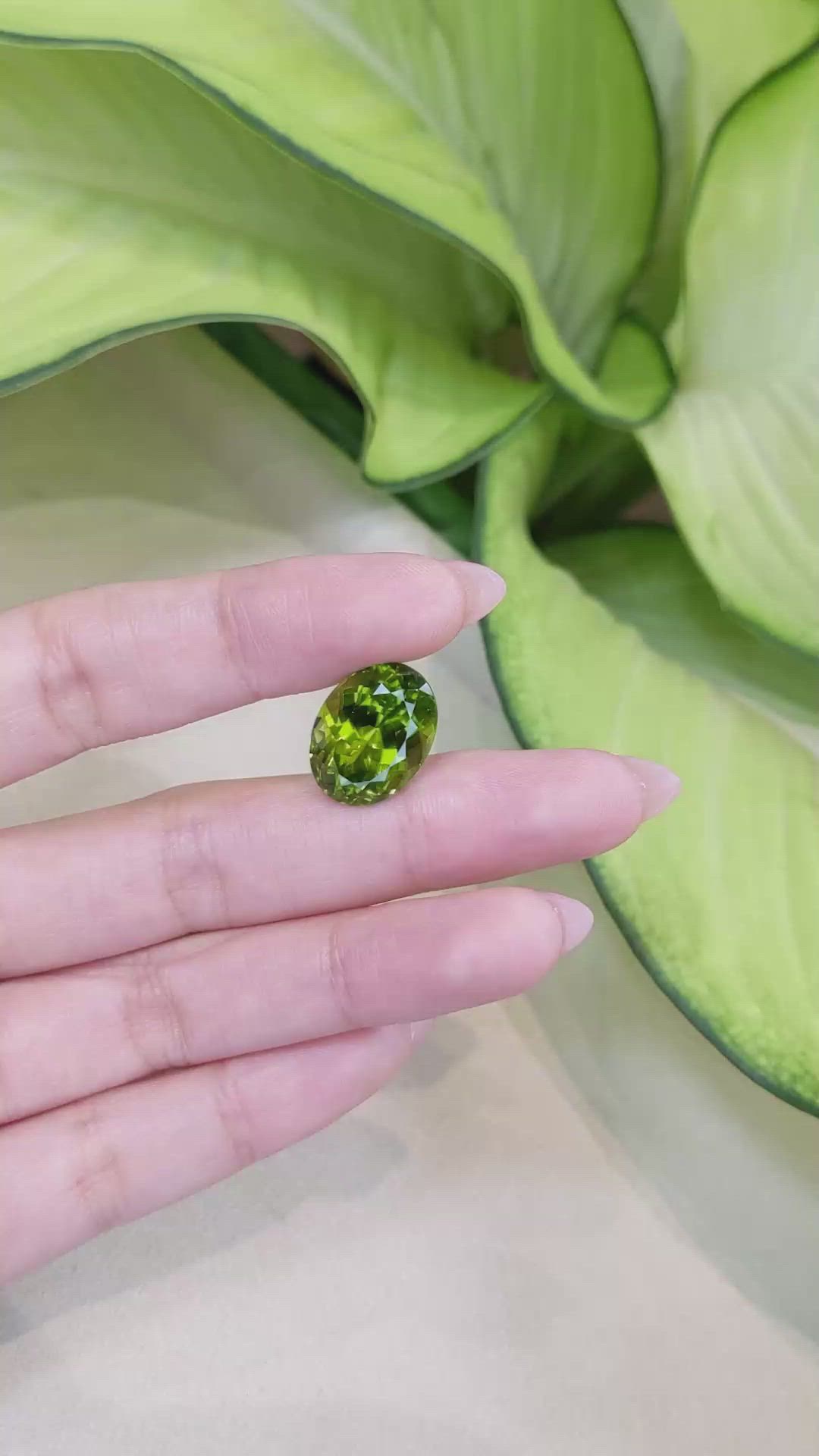 13.67 Ct. Peridot from Burma (Myanmar) Size Video