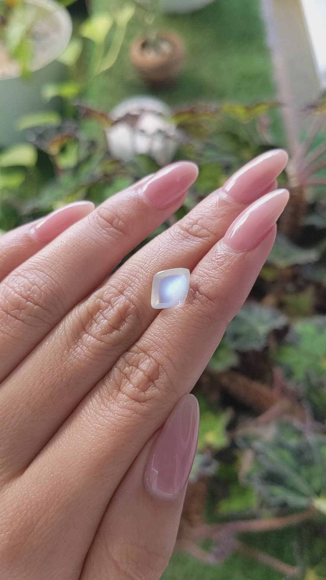 2.58 Ct. Cabochon Moonstone from Ceylon (Sri Lanka) Size Video