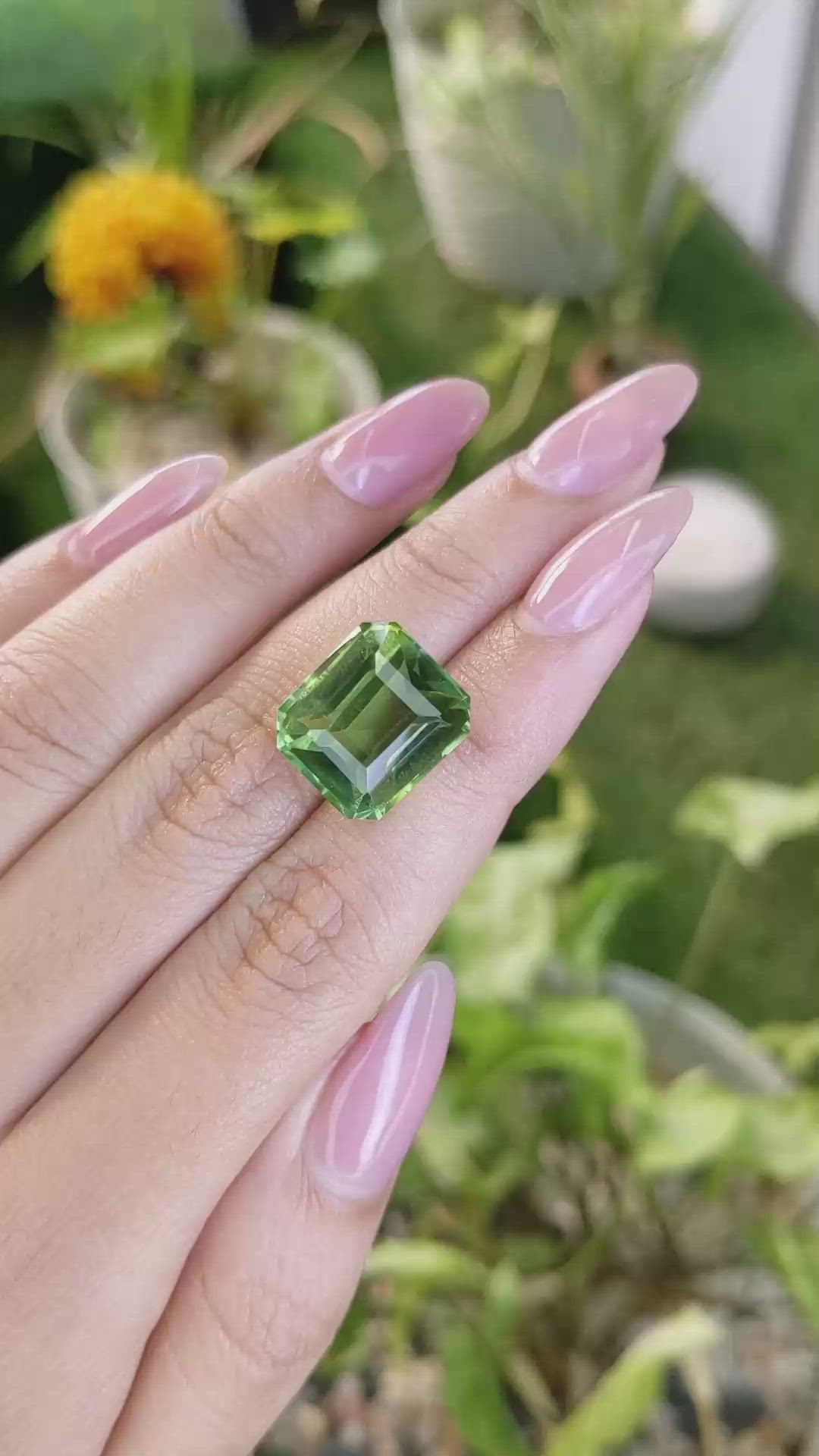 13.94 Ct. Prasiolite from Madagascar Size Video