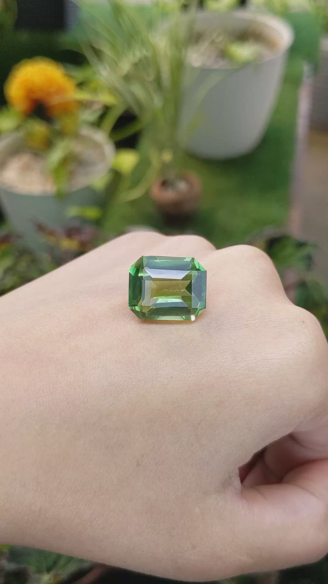 16.10 Ct. Prasiolite from Madagascar Size Video