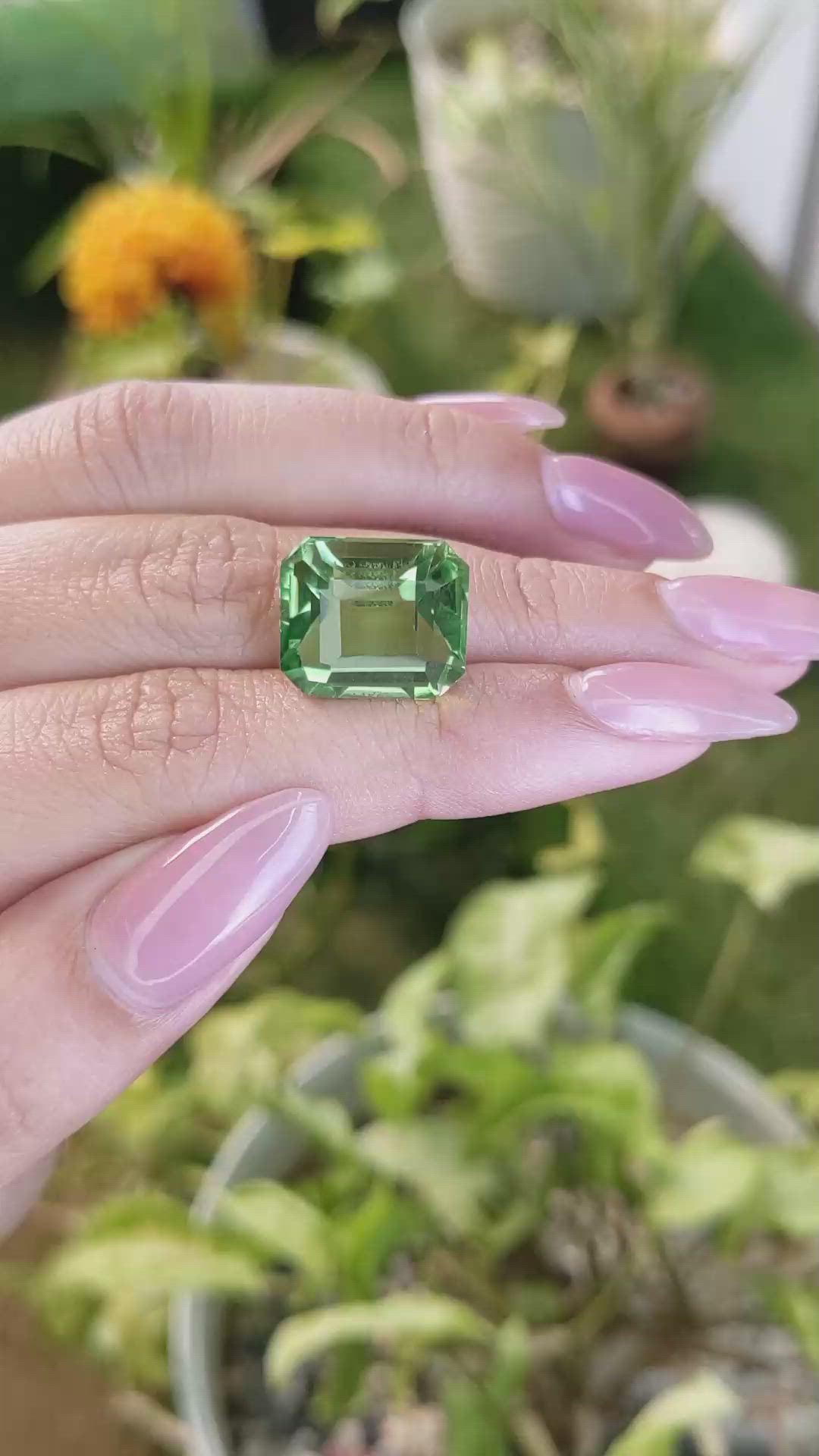 13.35 Ct. Prasiolite from Madagascar Size Video