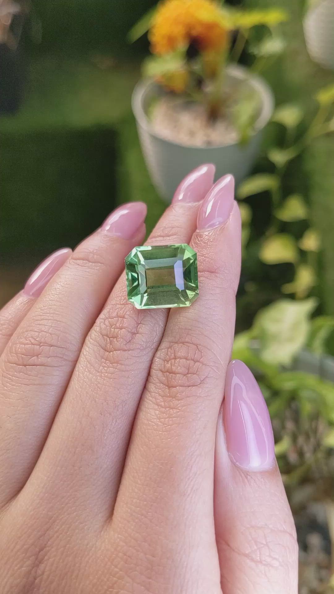 13.35 Ct. Prasiolite from Madagascar Size Video