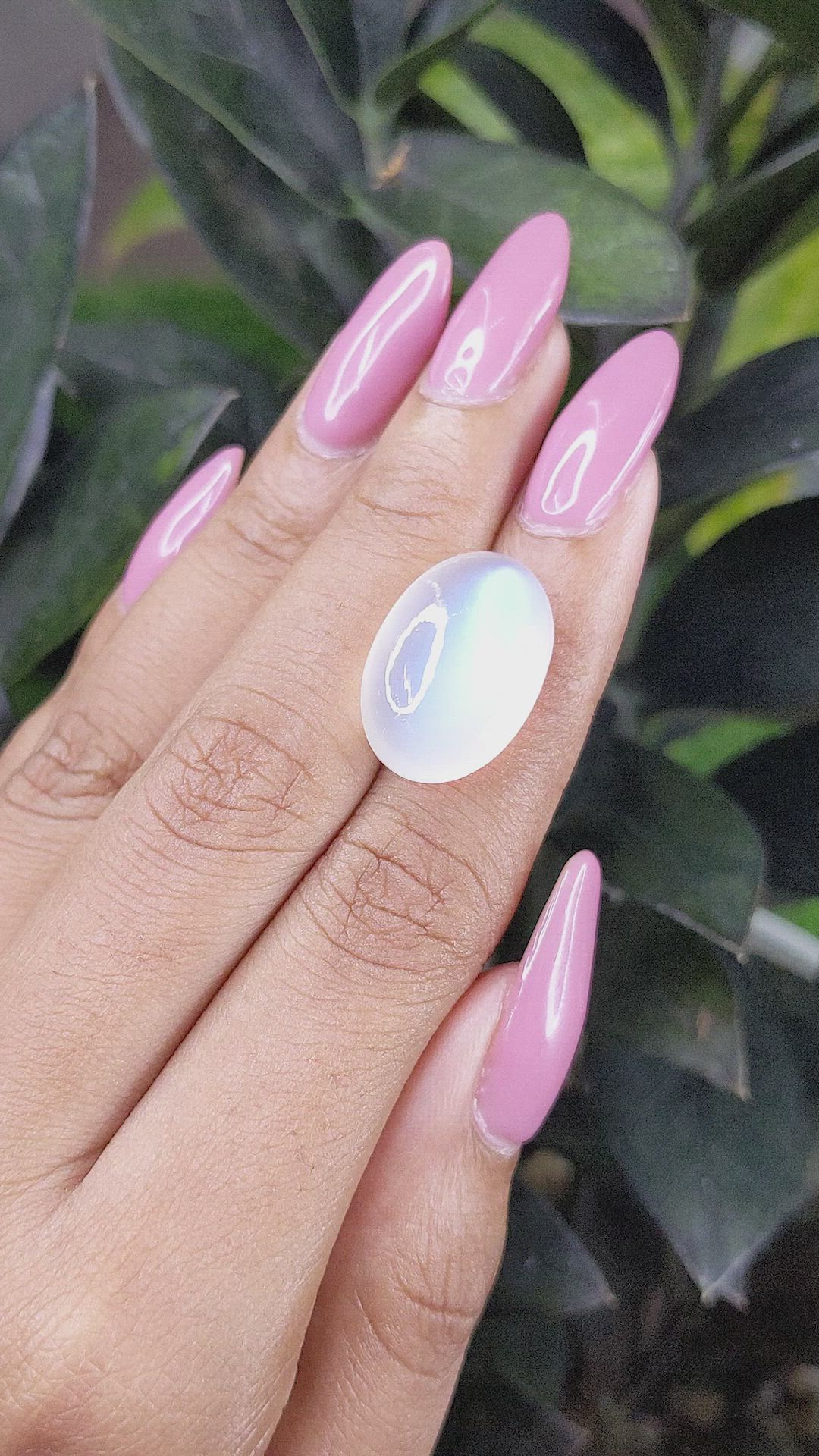 20.23 Ct. Cabochon Moonstone from Ceylon (Sri Lanka) Size Video