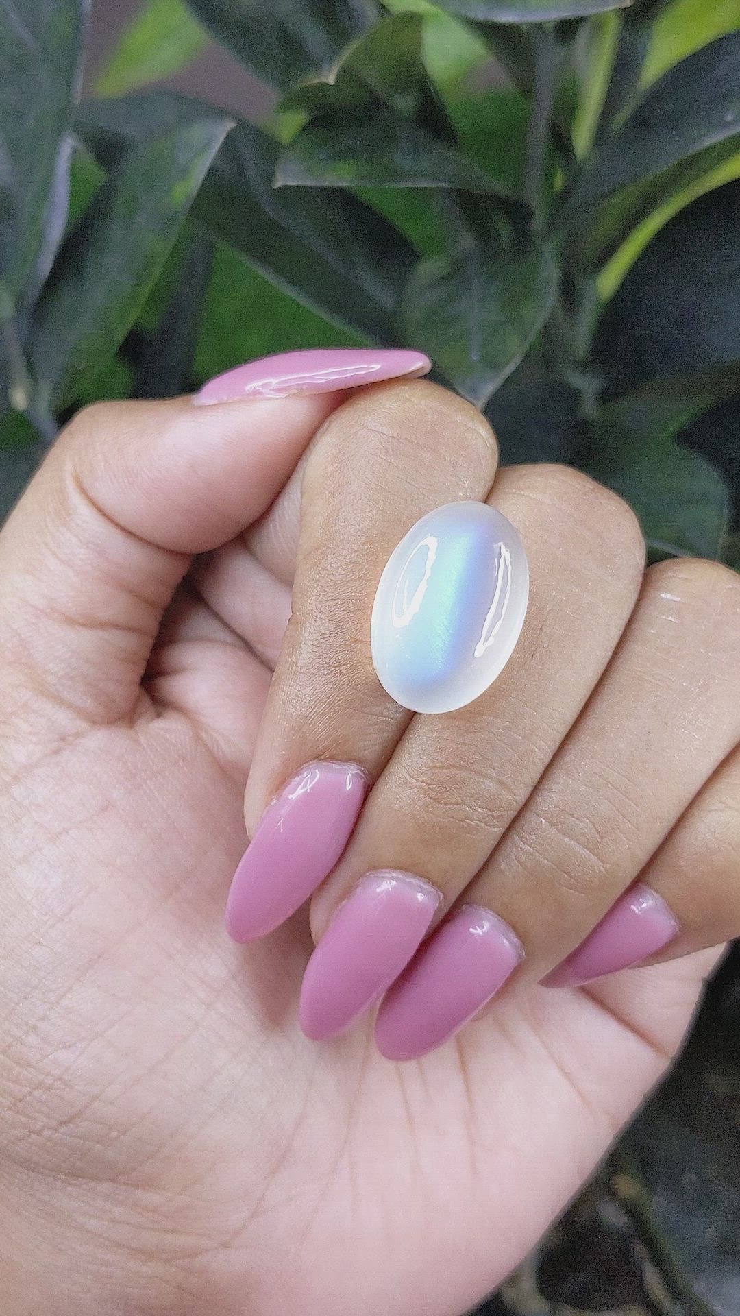 20.23 Ct. Cabochon Moonstone from Ceylon (Sri Lanka) Size Video