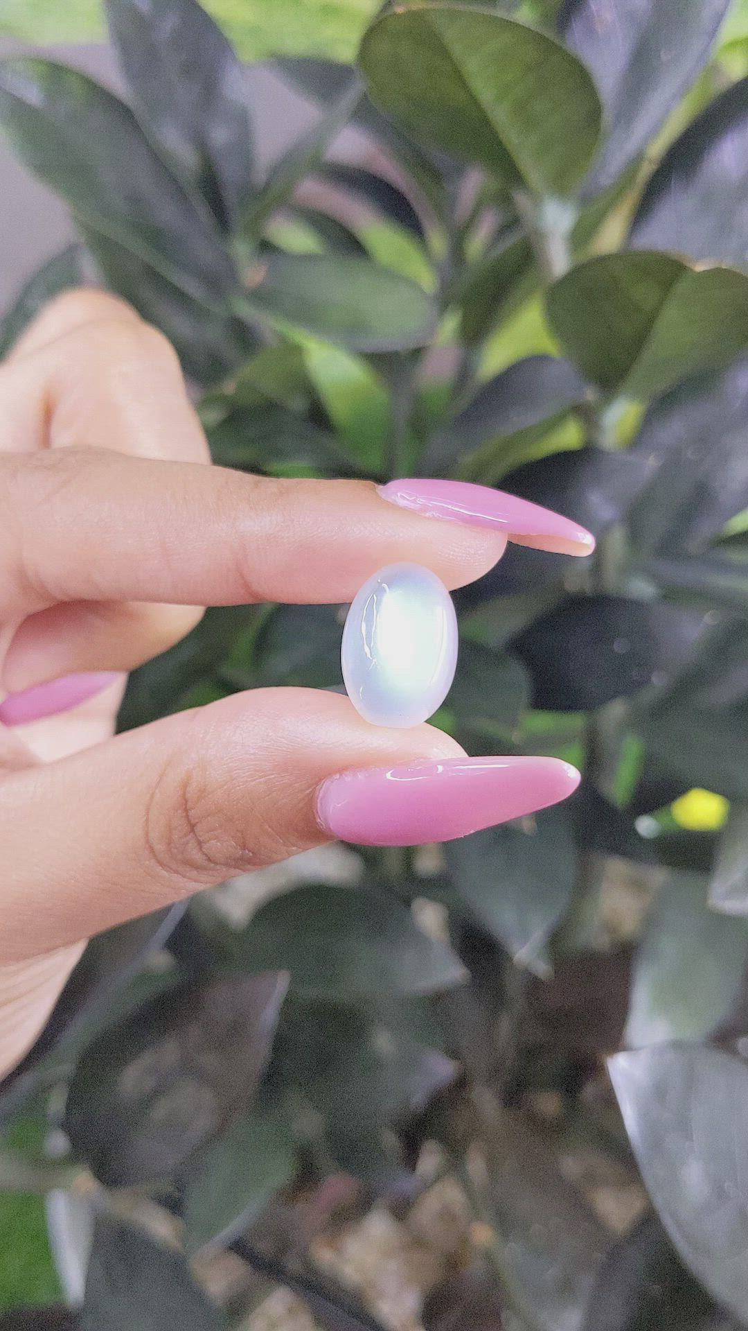 13.61 Ct. Cabochon Moonstone from Ceylon (Sri Lanka) Size Video
