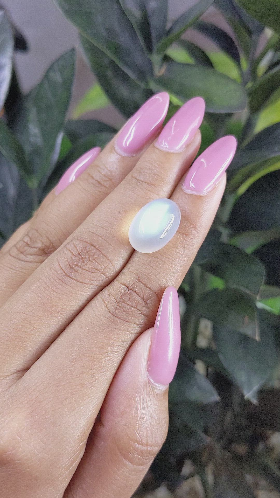 13.61 Ct. Cabochon Moonstone from Ceylon (Sri Lanka) Size Video