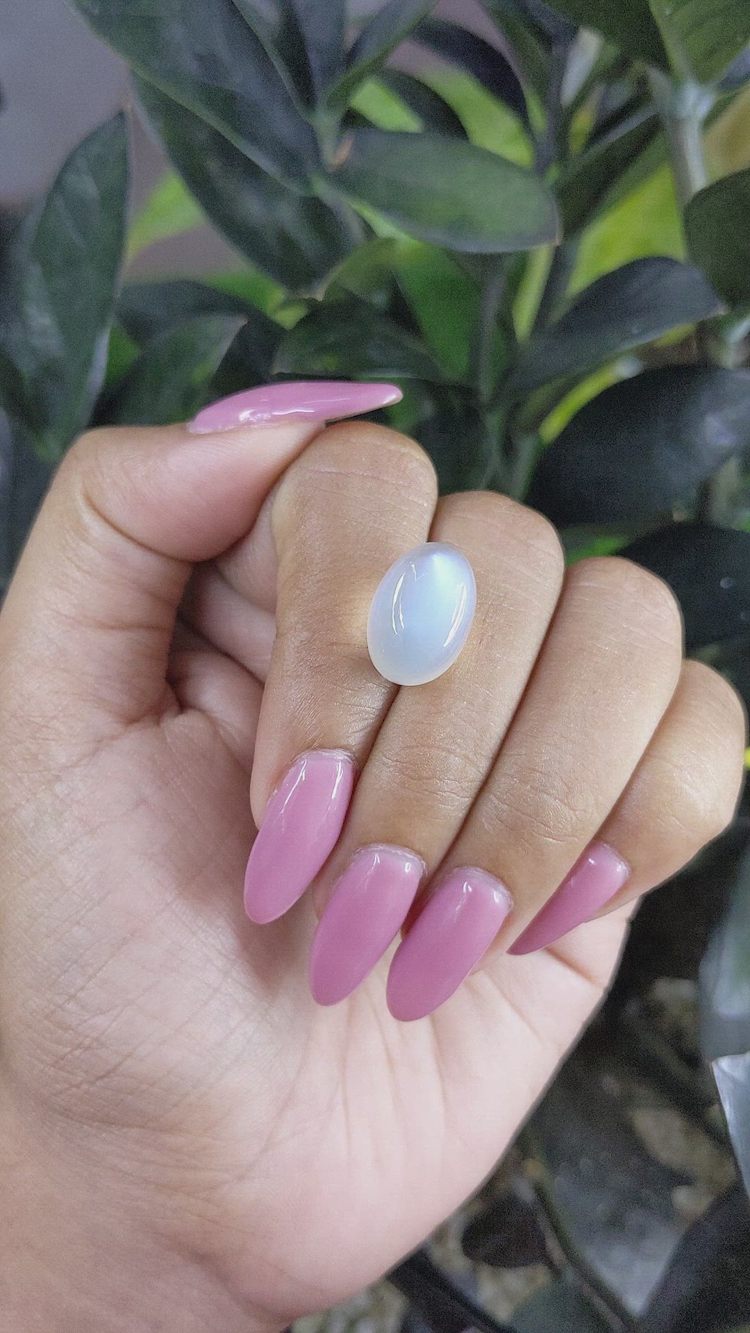 13.61 Ct. Cabochon Moonstone from Ceylon (Sri Lanka) Size Video