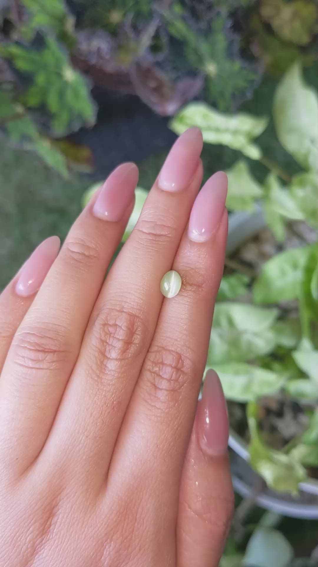 2.25 Ct. Cabochon Chrysoberyl from Ceylon (Sri Lanka) Size Video