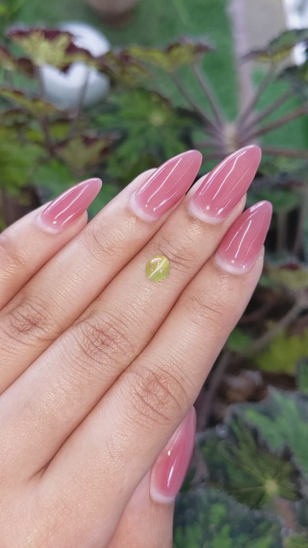 1.40 Ct. Cabochon Chrysoberyl from Ceylon (Sri Lanka) Size Video