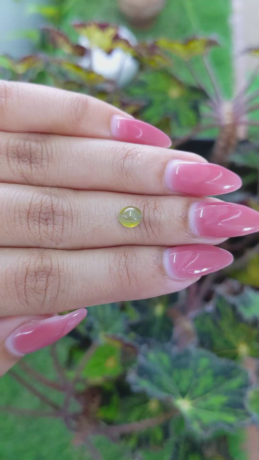 1.40 Ct. Cabochon Chrysoberyl from Ceylon (Sri Lanka) Size Video