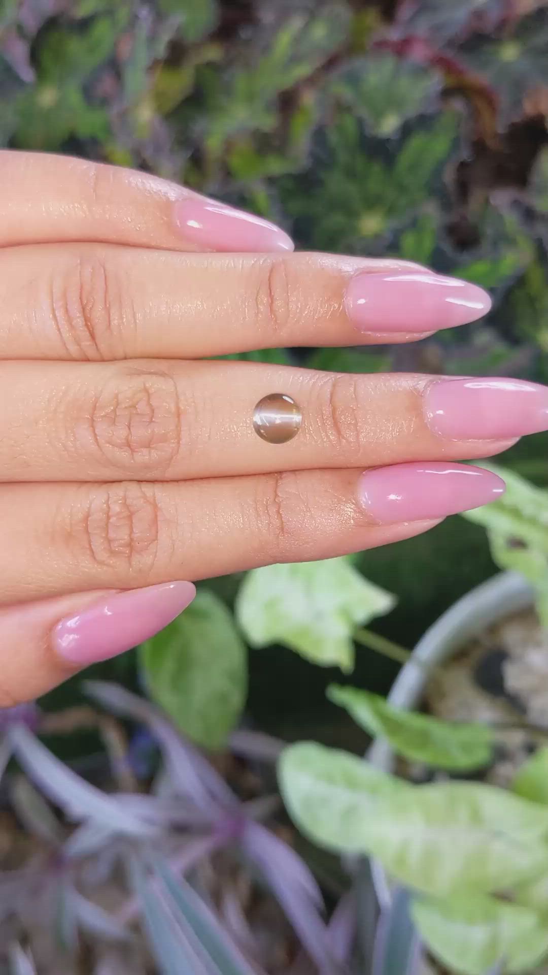 1.47 Ct. Cabochon Chrysoberyl from Ceylon (Sri Lanka) Size Video