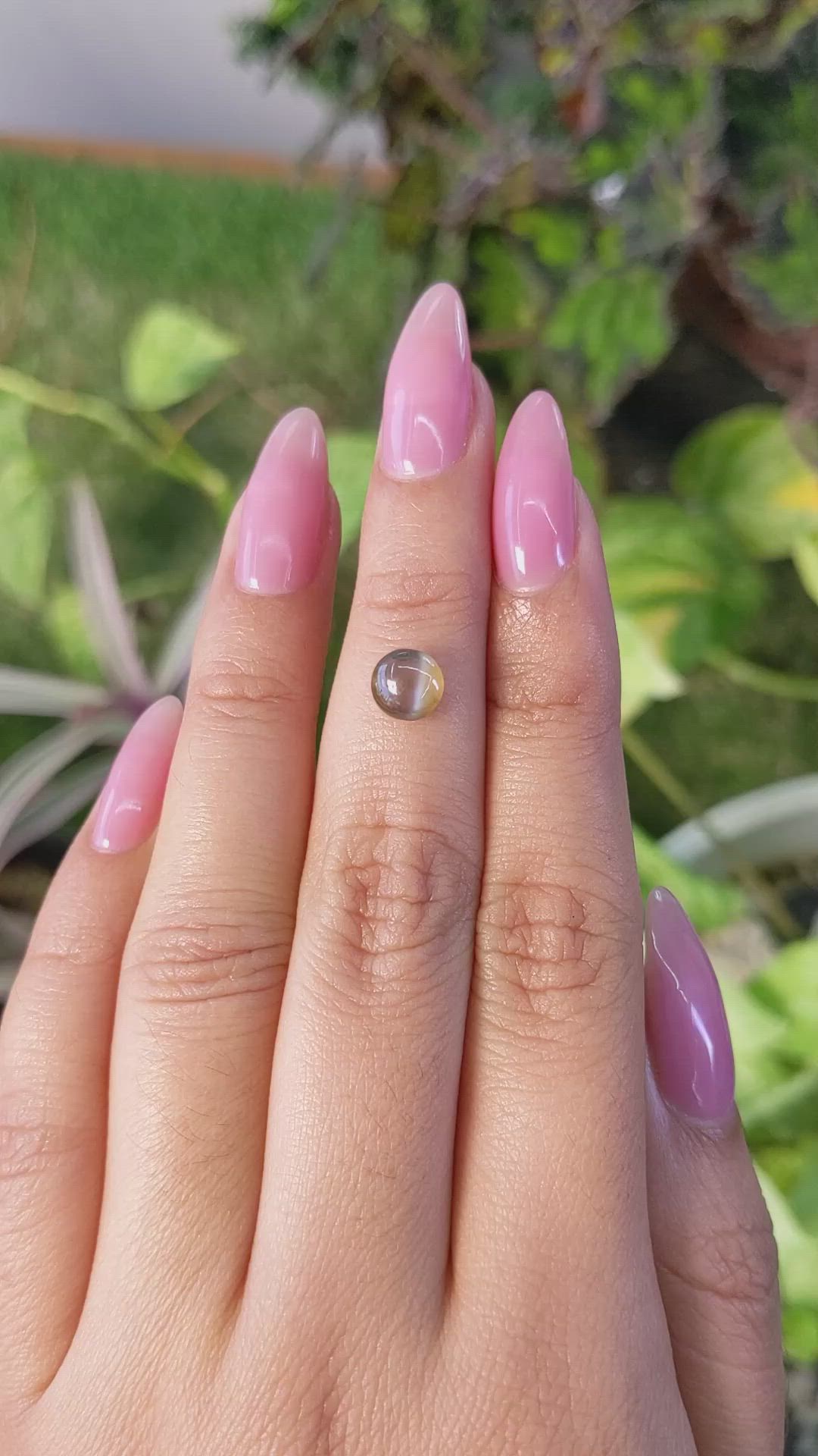 1.47 Ct. Cabochon Chrysoberyl from Ceylon (Sri Lanka) Size Video