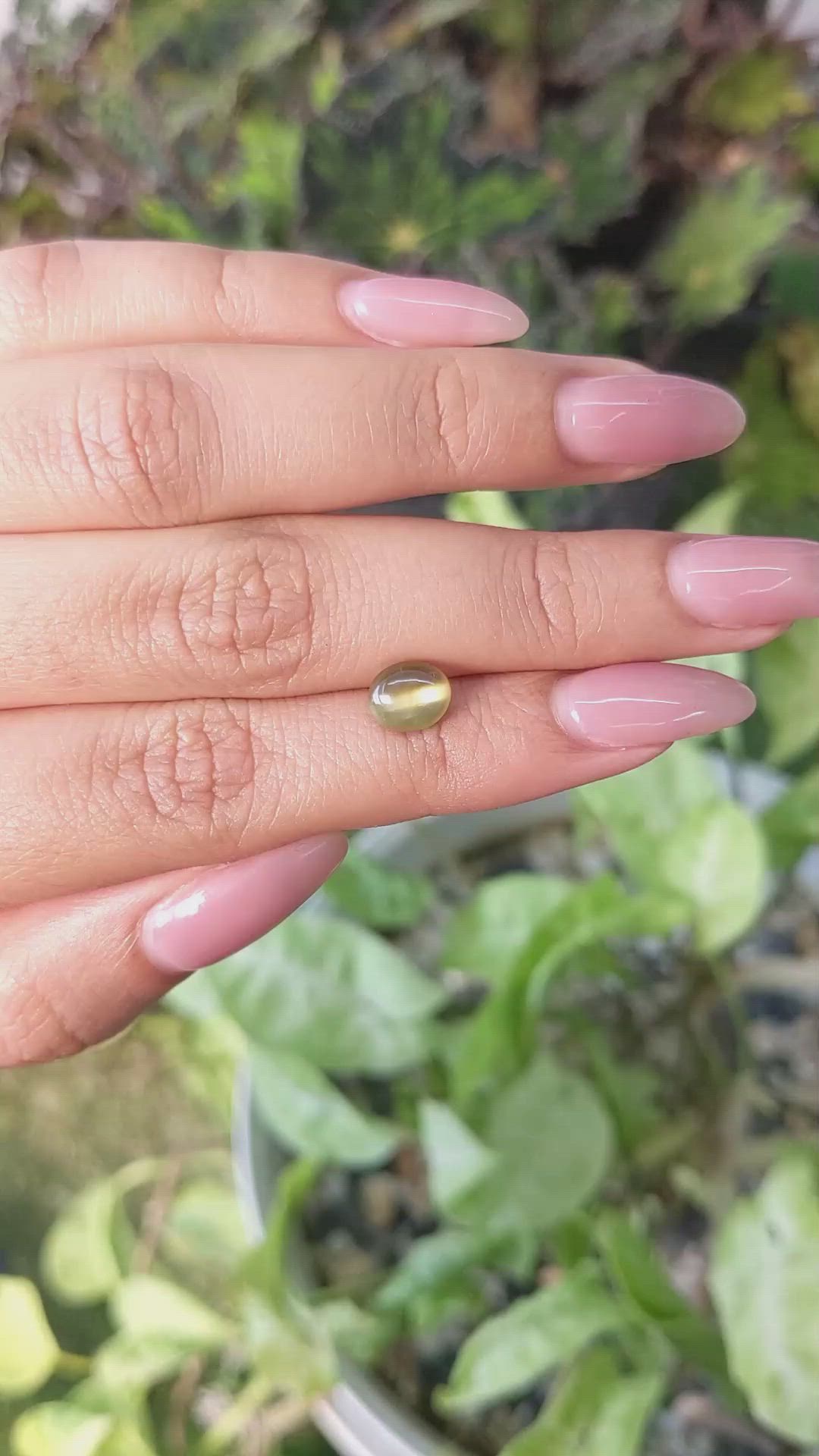 2.16 Ct. Cabochon Chrysoberyl from Ceylon (Sri Lanka) Size Video