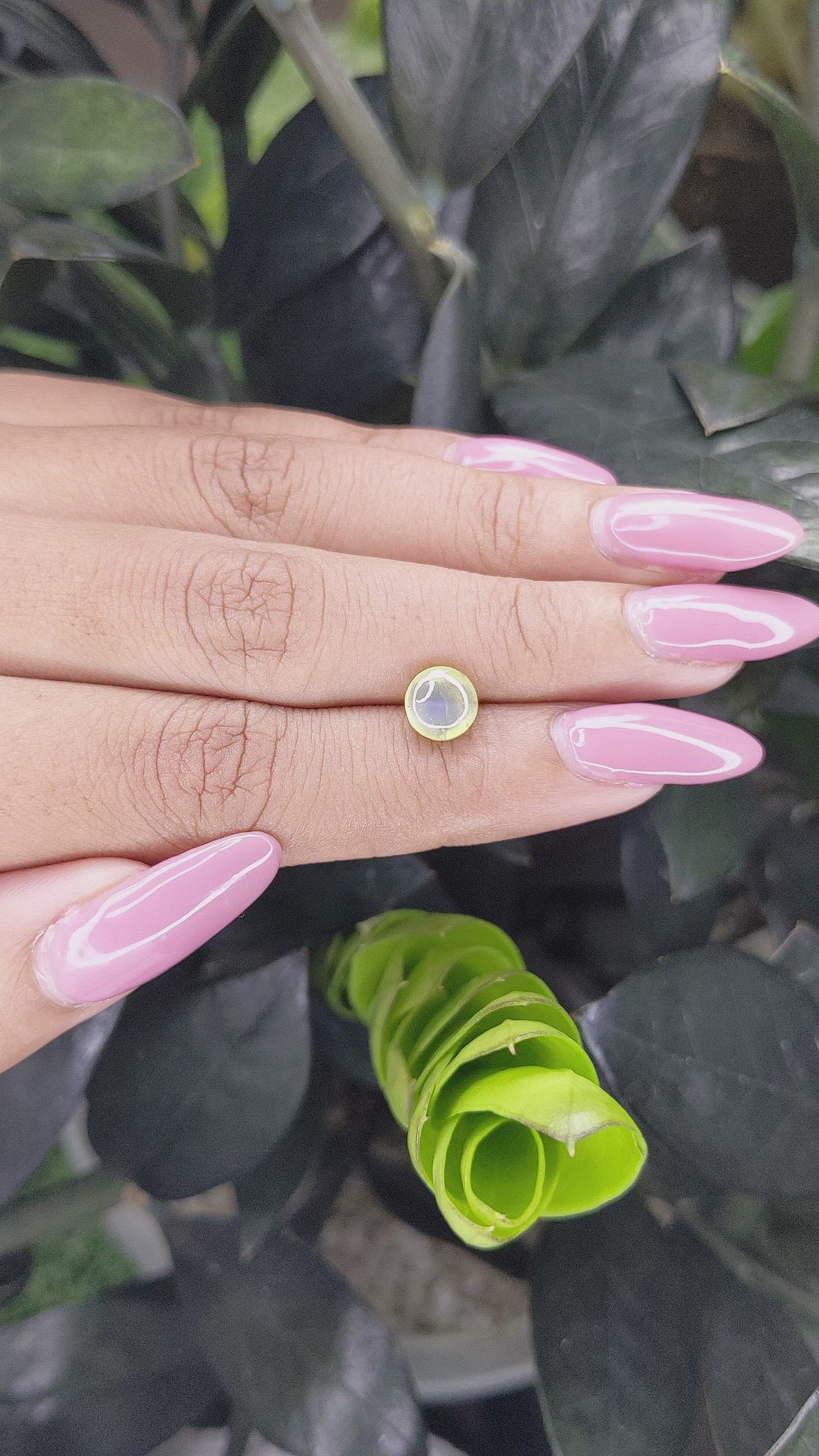 2.00 Ct. Cabochon Chrysoberyl from Ceylon (Sri Lanka) Size Video