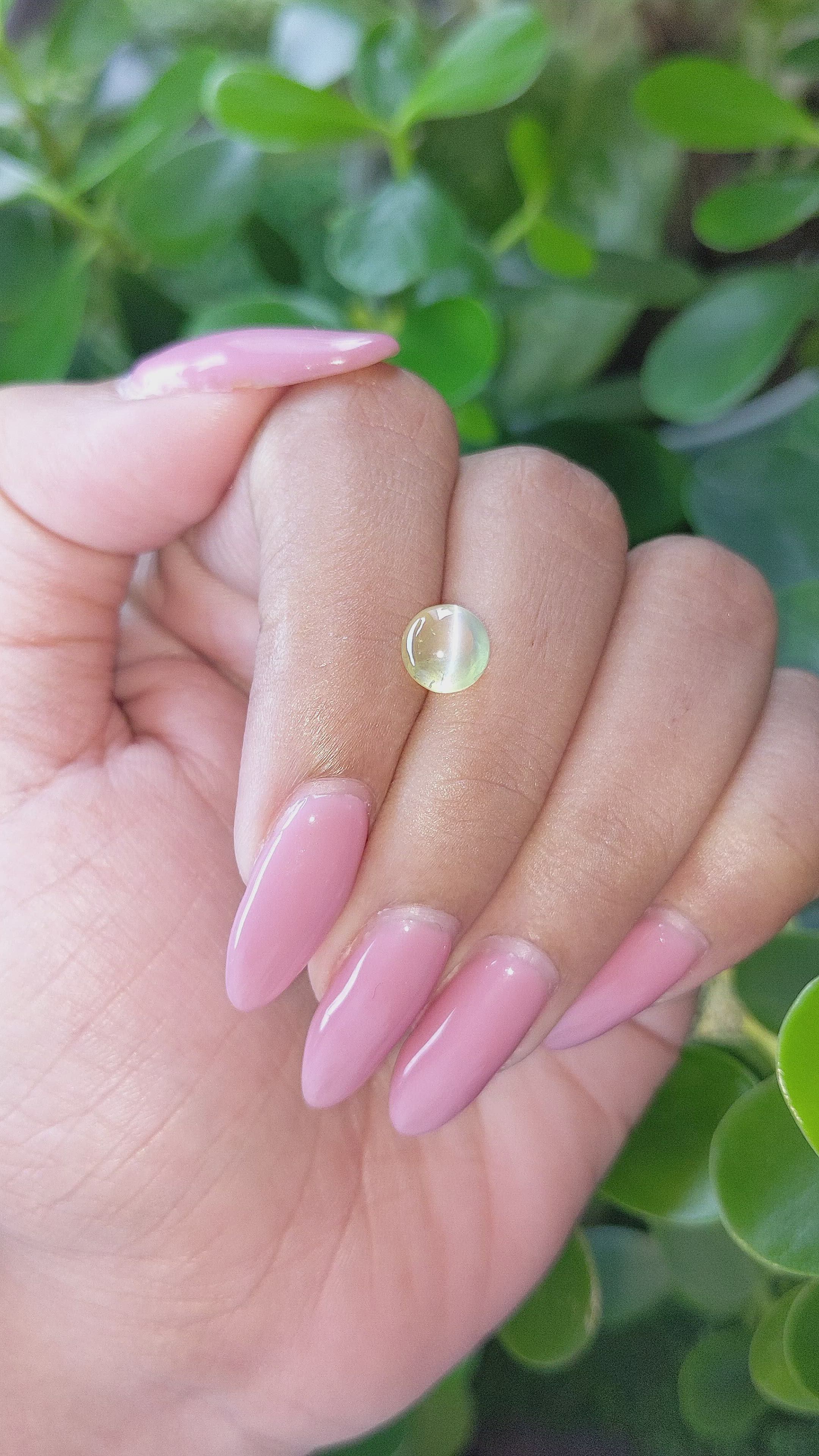 2.00 Ct. Cabochon Chrysoberyl from Ceylon (Sri Lanka) Size Video