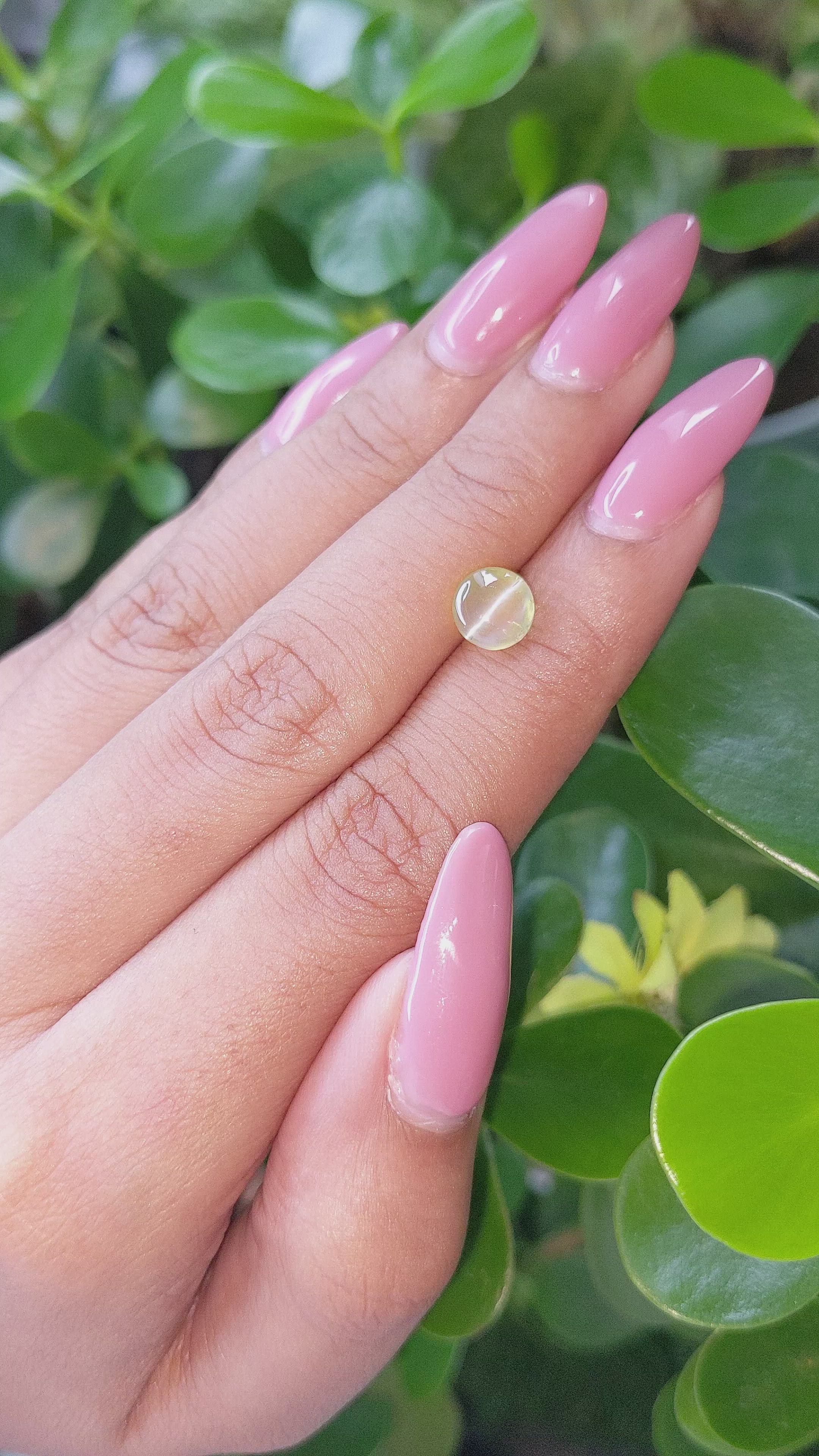 2.00 Ct. Cabochon Chrysoberyl from Ceylon (Sri Lanka) Size Video