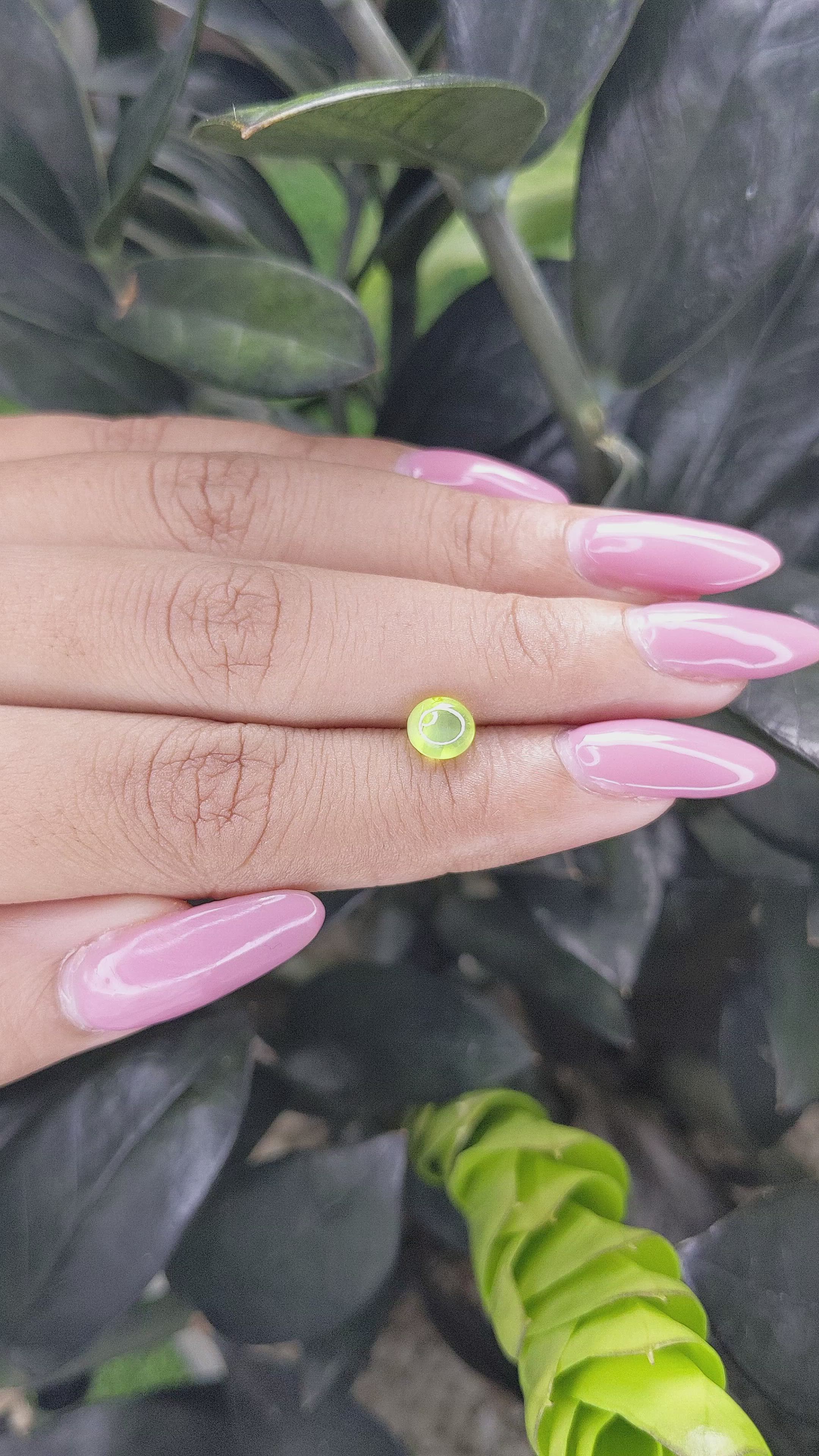 1.32 Ct. Cabochon Chrysoberyl from Ceylon (Sri Lanka) Size Video