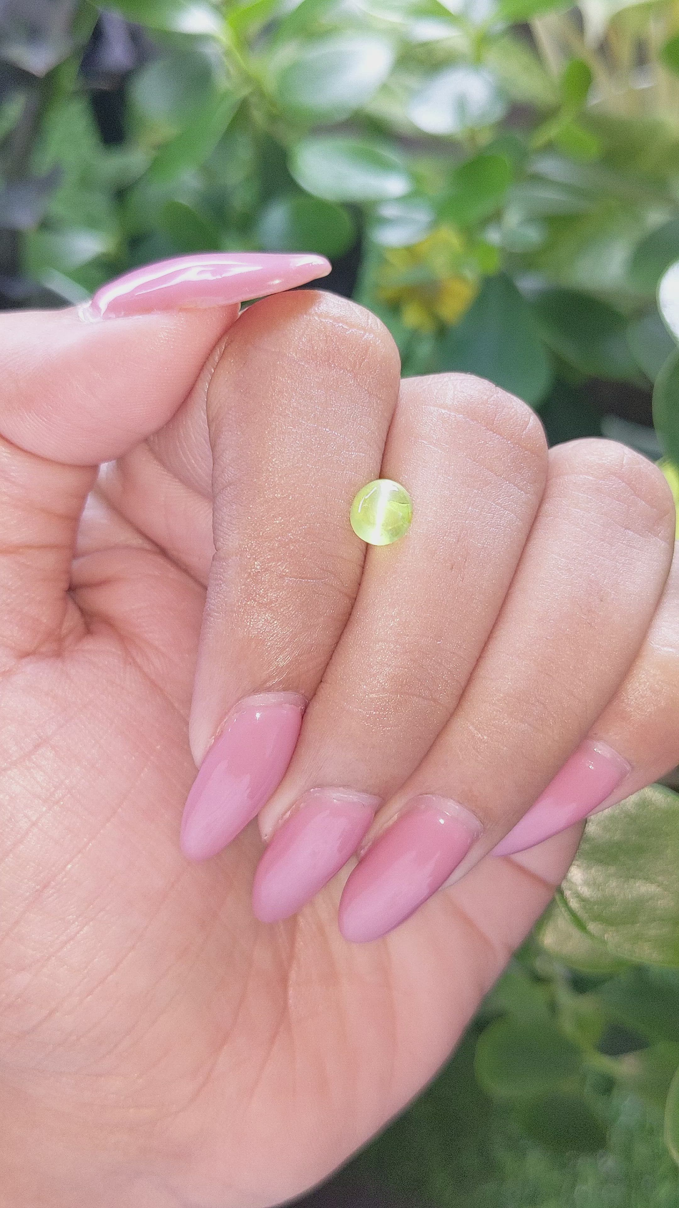 1.32 Ct. Cabochon Chrysoberyl from Ceylon (Sri Lanka) Size Video