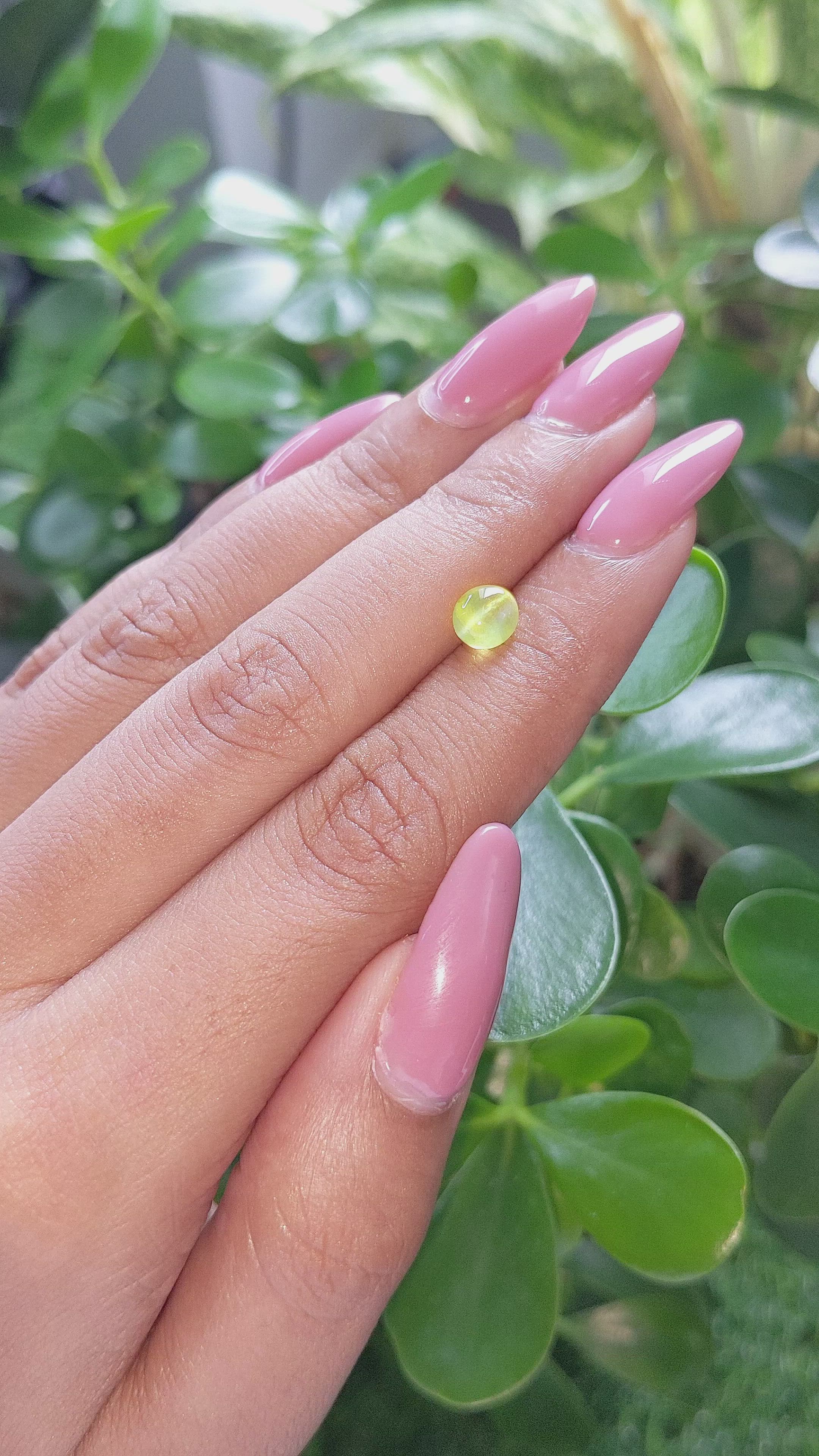 1.32 Ct. Cabochon Chrysoberyl from Ceylon (Sri Lanka) Size Video