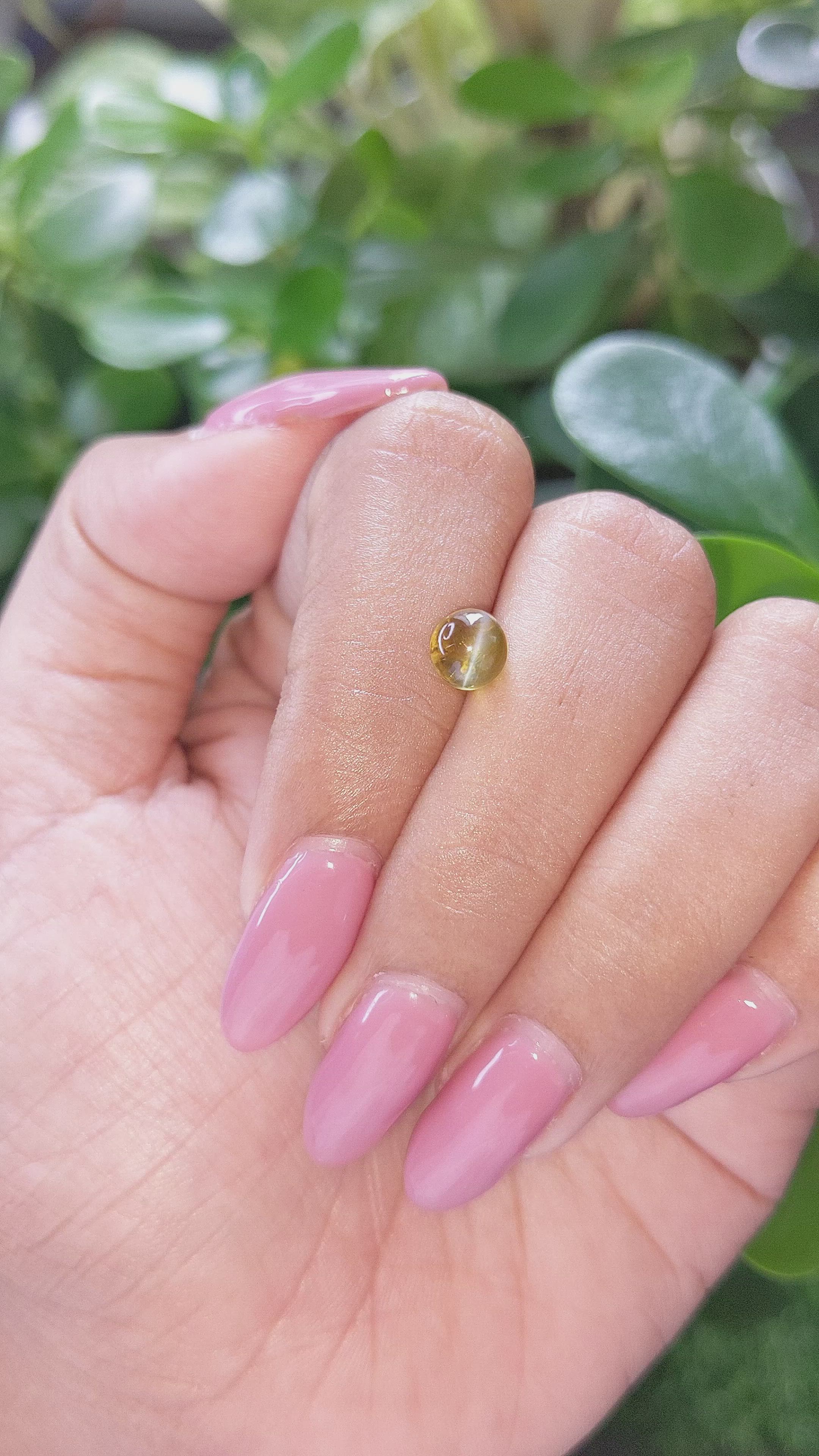 1.84 Ct. Cabochon Chrysoberyl from Ceylon (Sri Lanka) Size Video