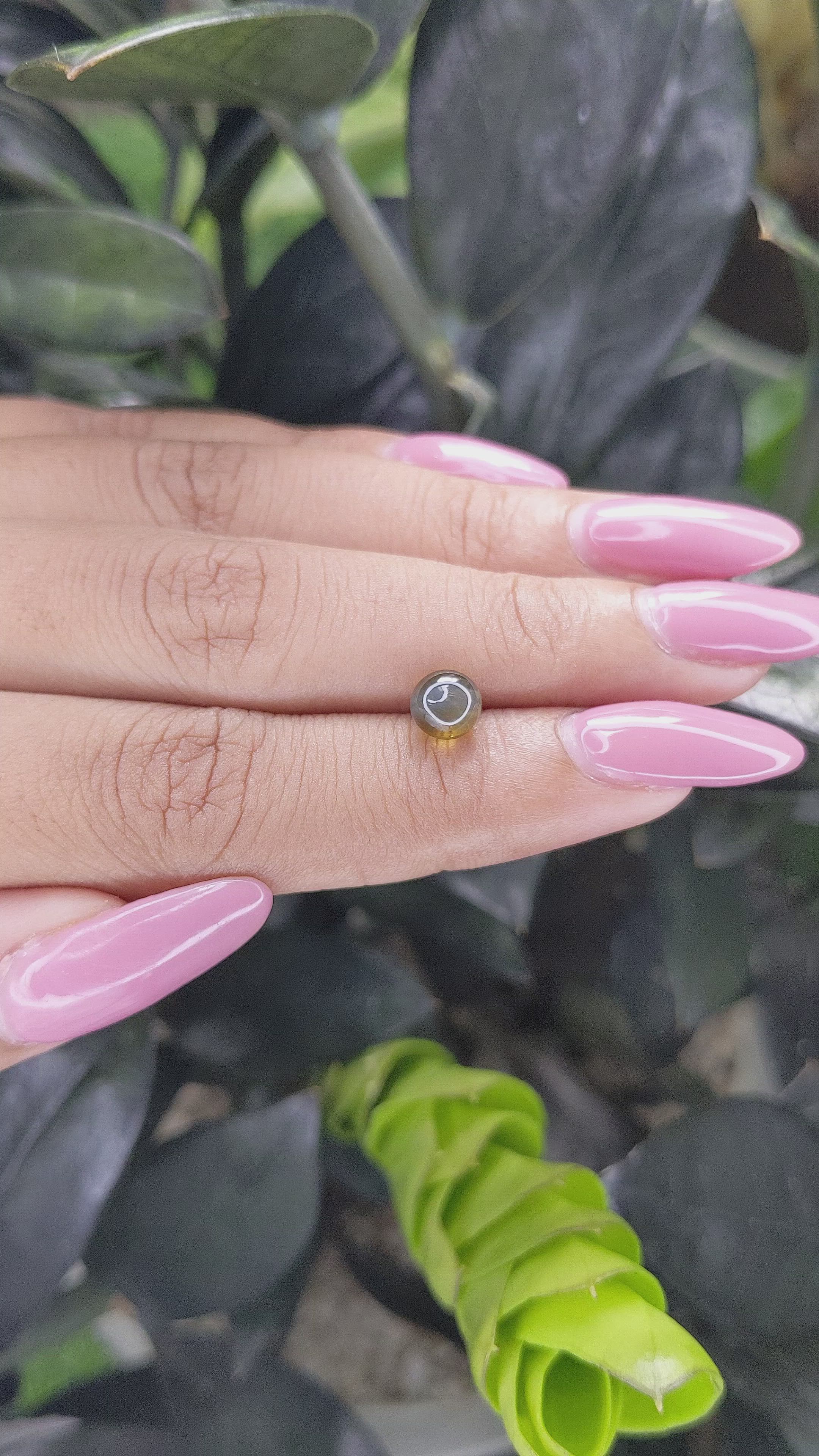 1.84 Ct. Cabochon Chrysoberyl from Ceylon (Sri Lanka) Size Video