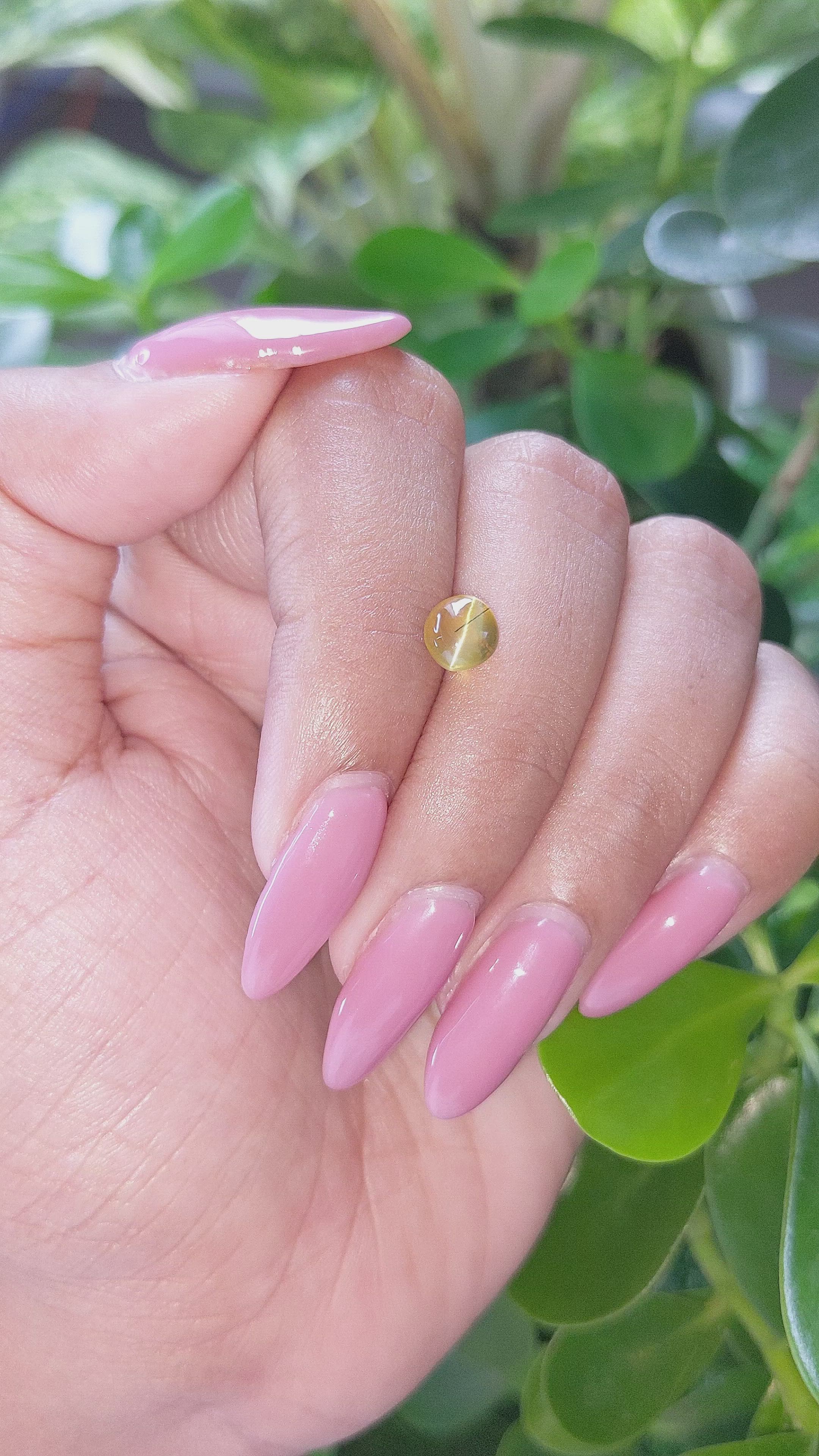 1.75 Ct. Cabochon Chrysoberyl from Ceylon (Sri Lanka) Size Video