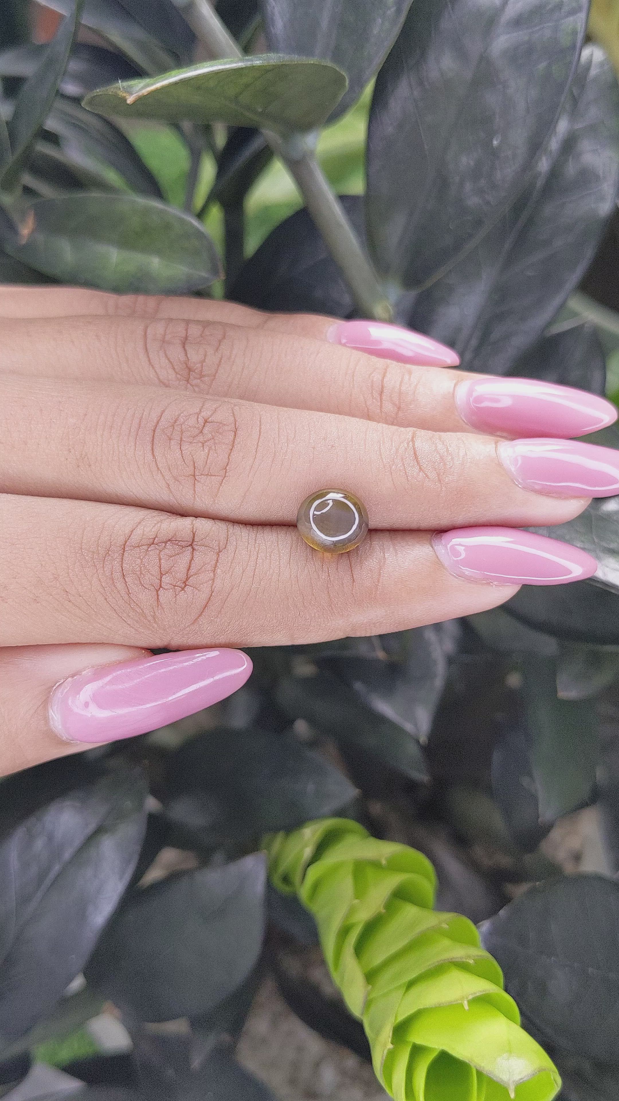 3.02 Ct. Cabochon Chrysoberyl from Tanzania Size Video