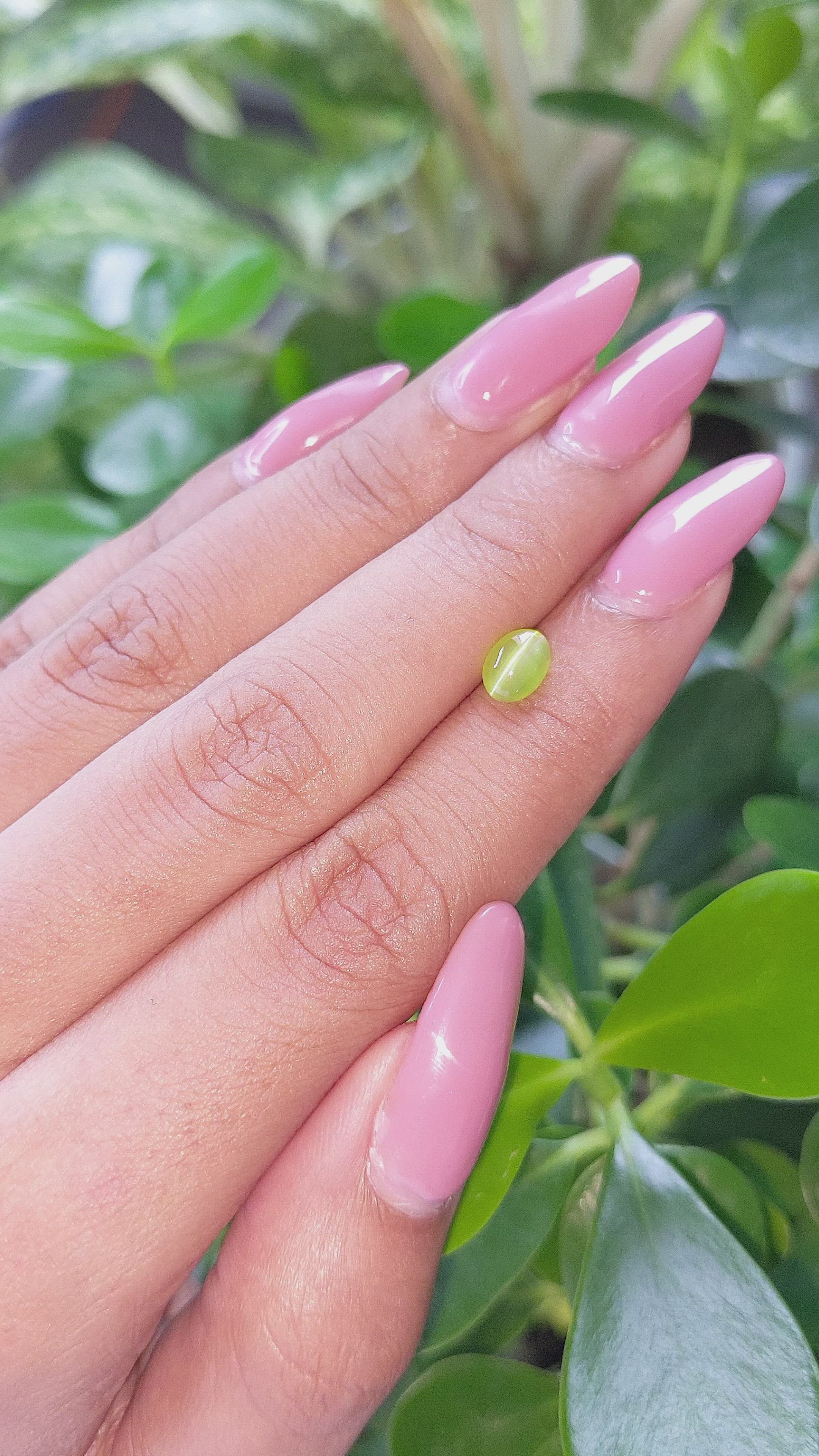 1.22 Ct. Cabochon Chrysoberyl from Ceylon (Sri Lanka) Size Video