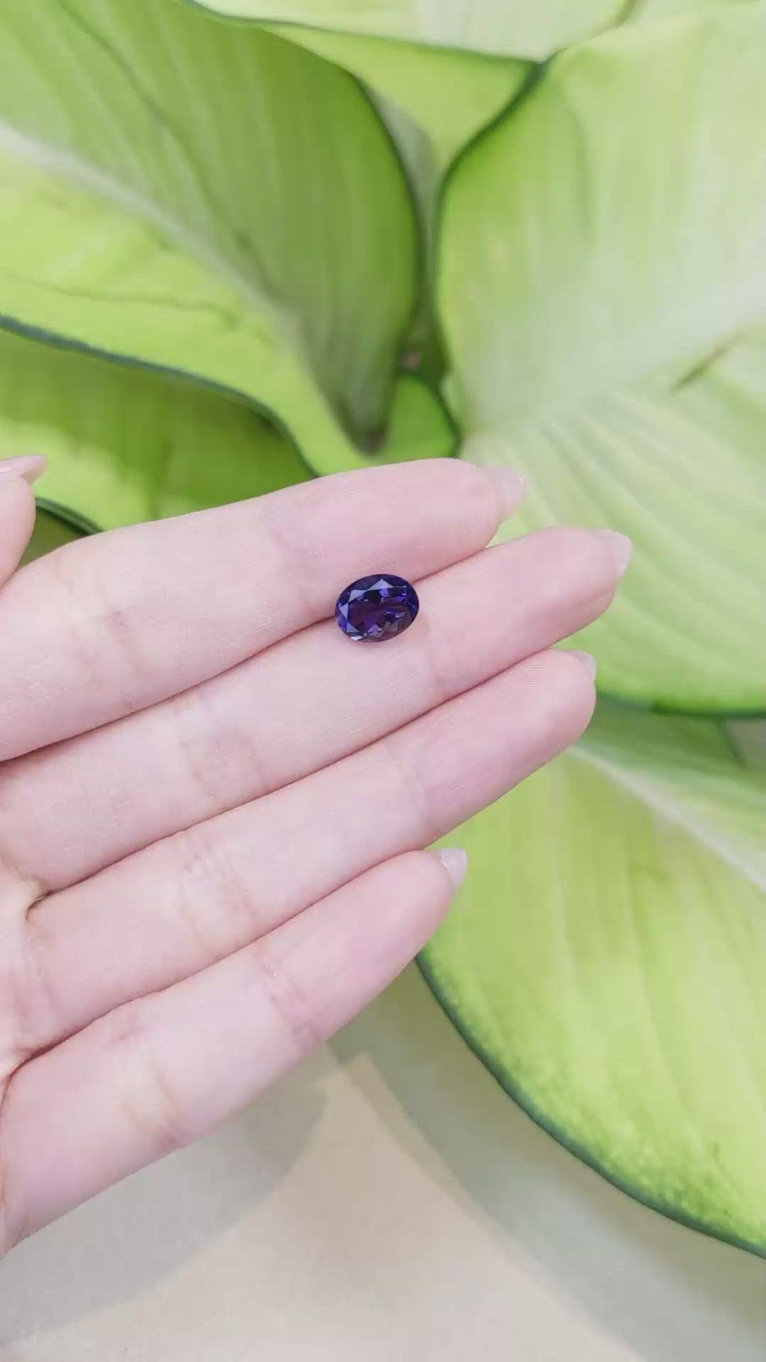 1.64 Ct. Iolite from Madagascar Size Video