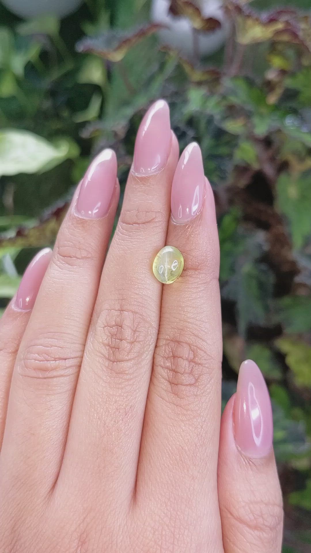 2.66 Ct. Cabochon Chrysoberyl from Ceylon (Sri Lanka) Size Video