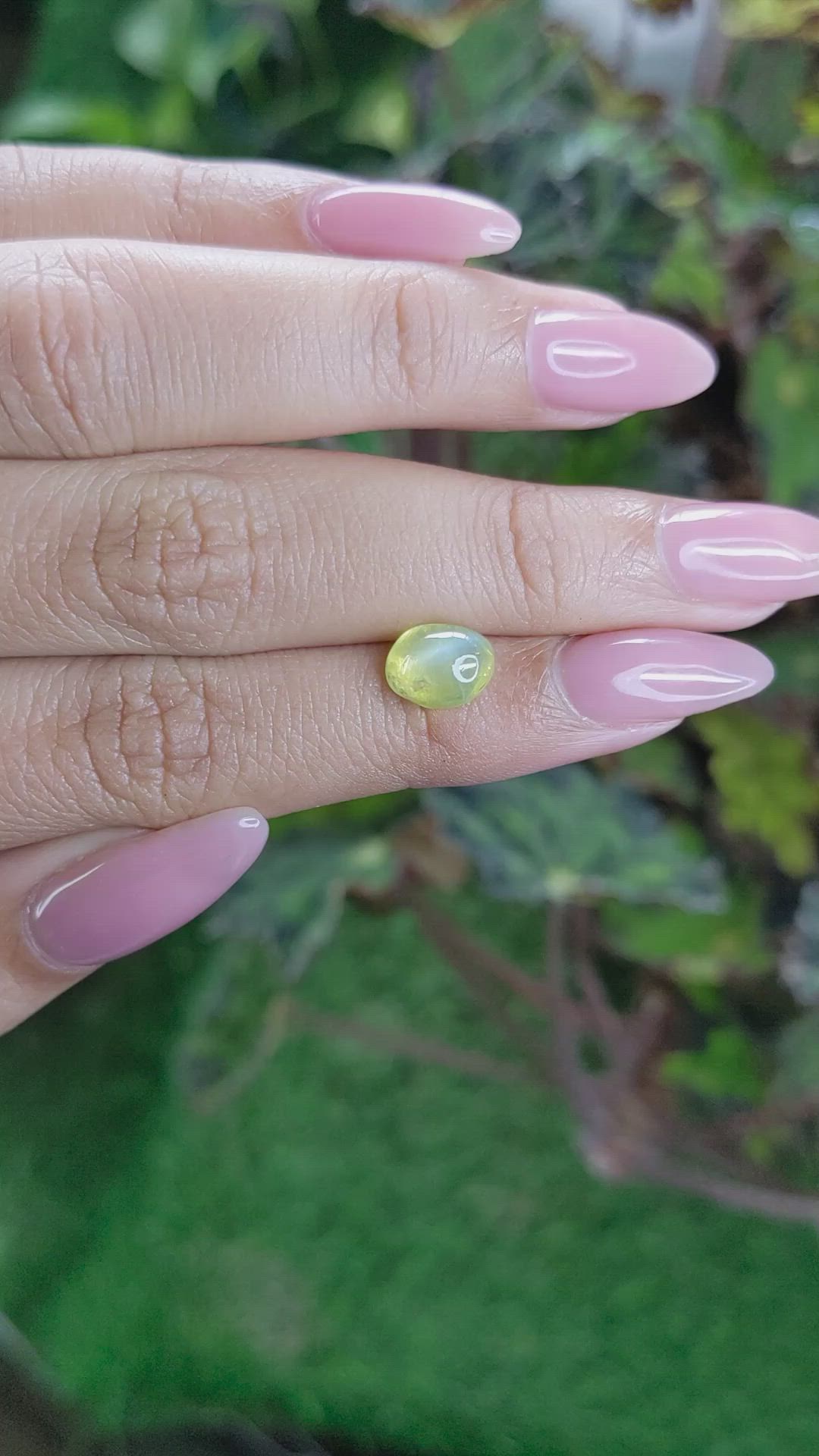 2.66 Ct. Cabochon Chrysoberyl from Ceylon (Sri Lanka) Size Video