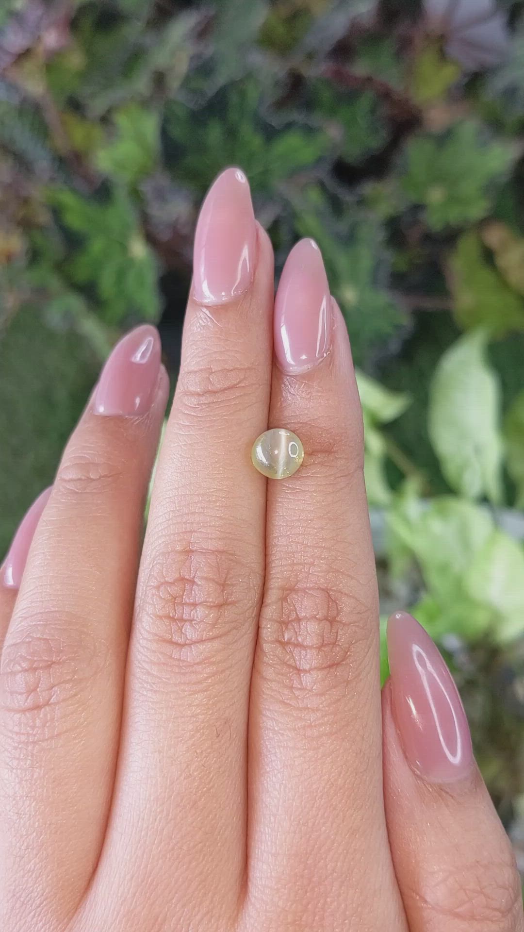 2.07 Ct. Cabochon Chrysoberyl from Ceylon (Sri Lanka) Size Video