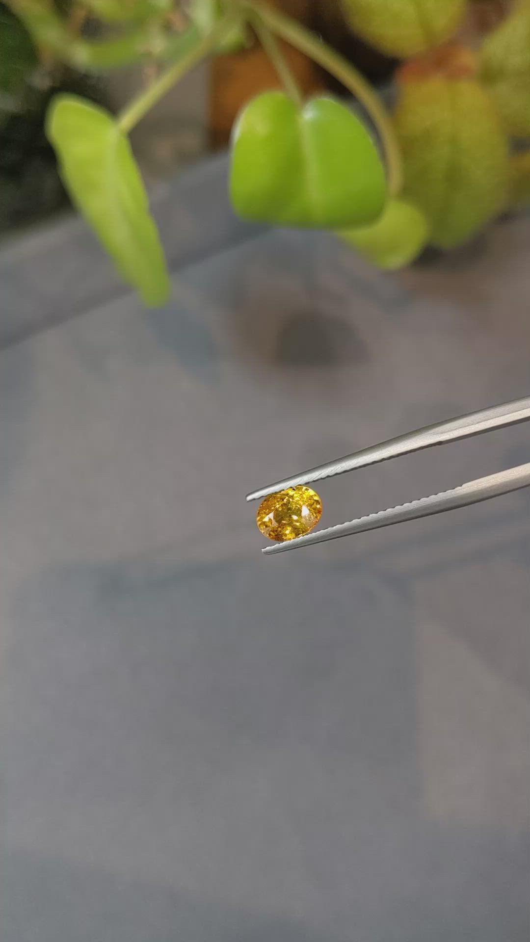 1.14 Ct. Spessartite Garnet from Namibia Size Video