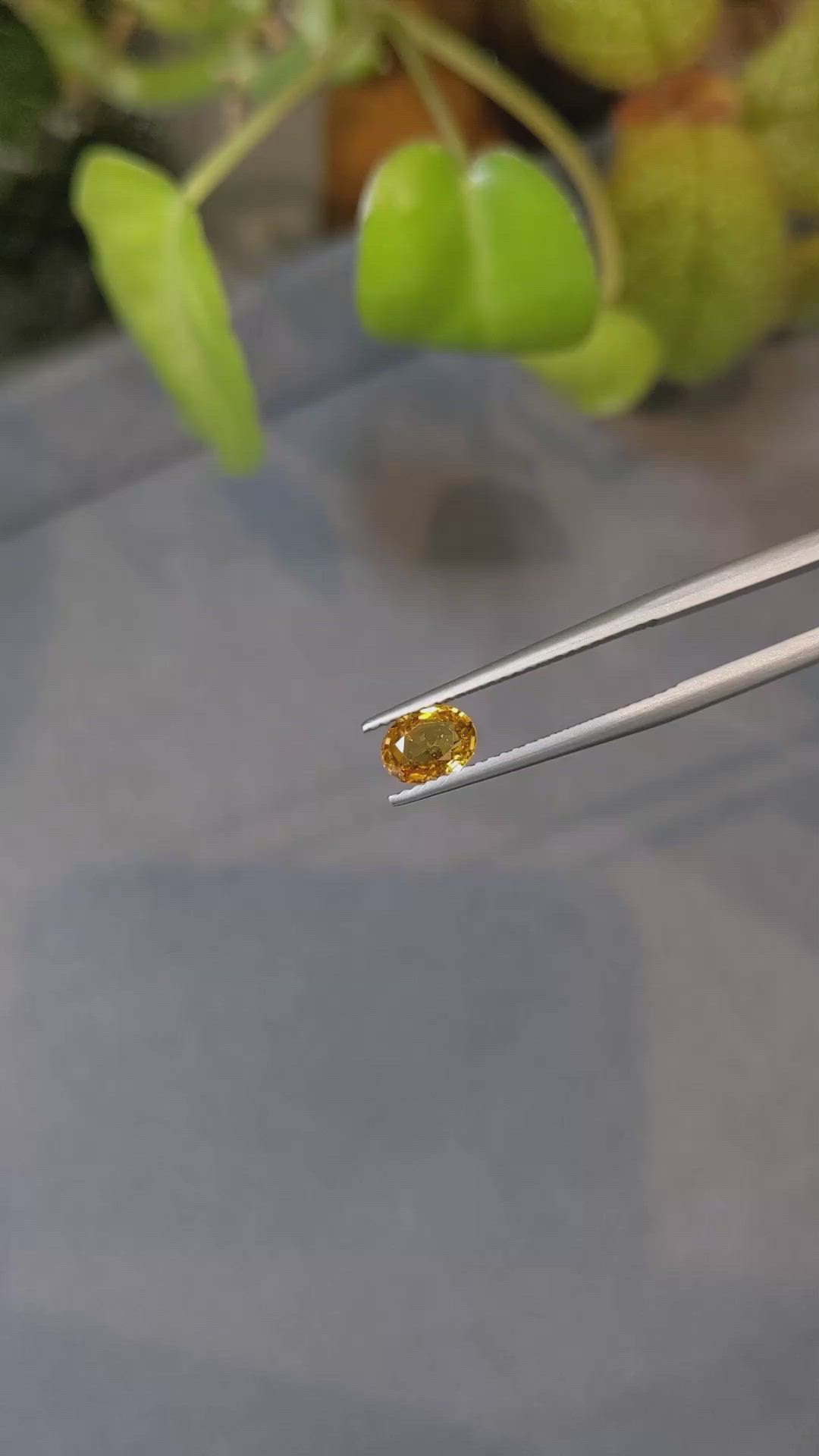 0.81 Ct. Spessartite Garnet from Namibia Size Video