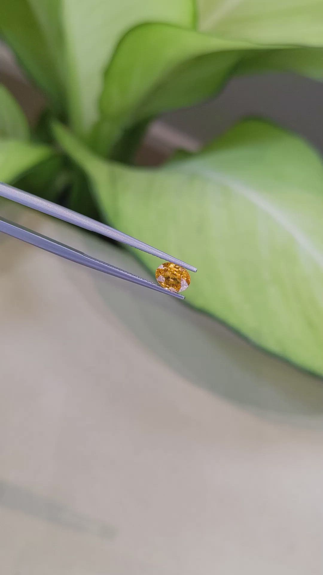 1.04 Ct. Spessartite Garnet from Namibia Size Video