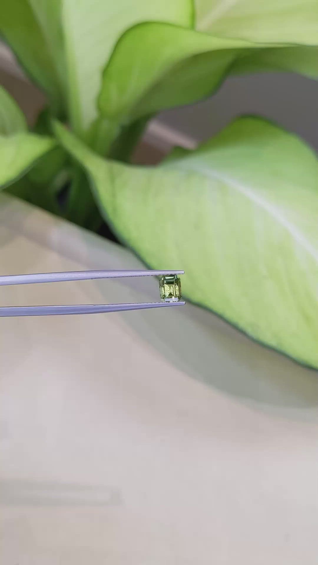 1.08 Ct. Andradite Garnet from Russia Size Video