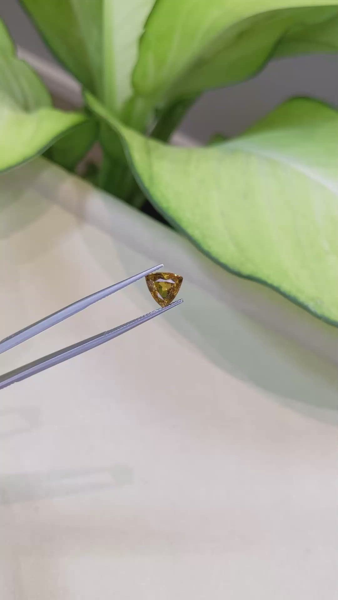 2.90 Ct. Sphene (Titanite) from Madagascar Size Video