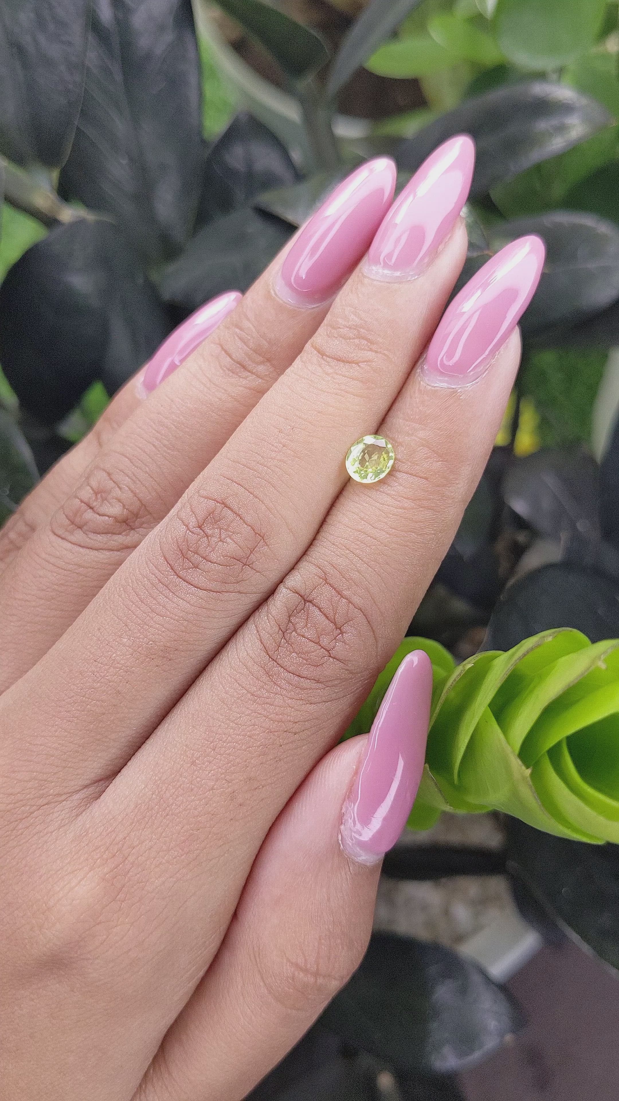 0.65 Ct. Chrysoberyl from Ceylon (Sri Lanka) Size Video