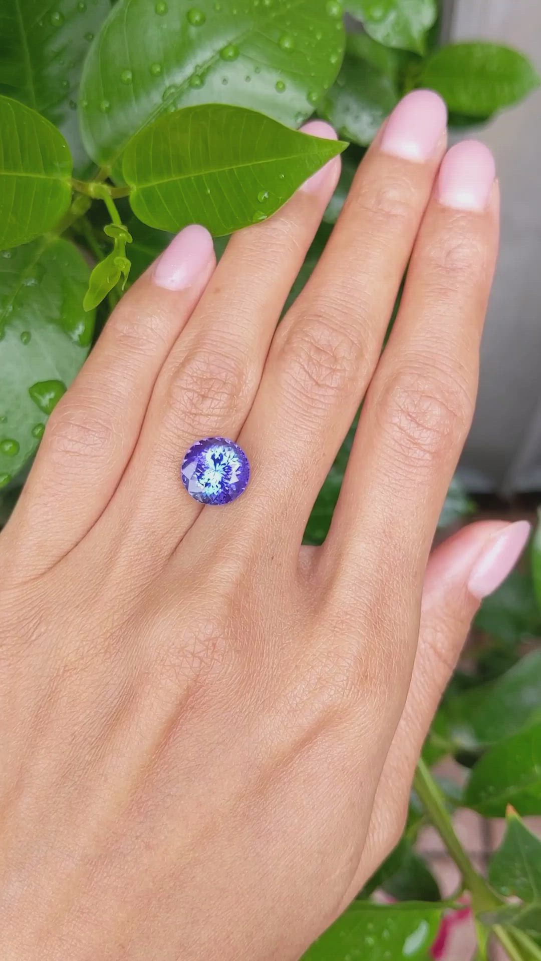5.37 Ct. Tanzanite from Tanzania Size Video