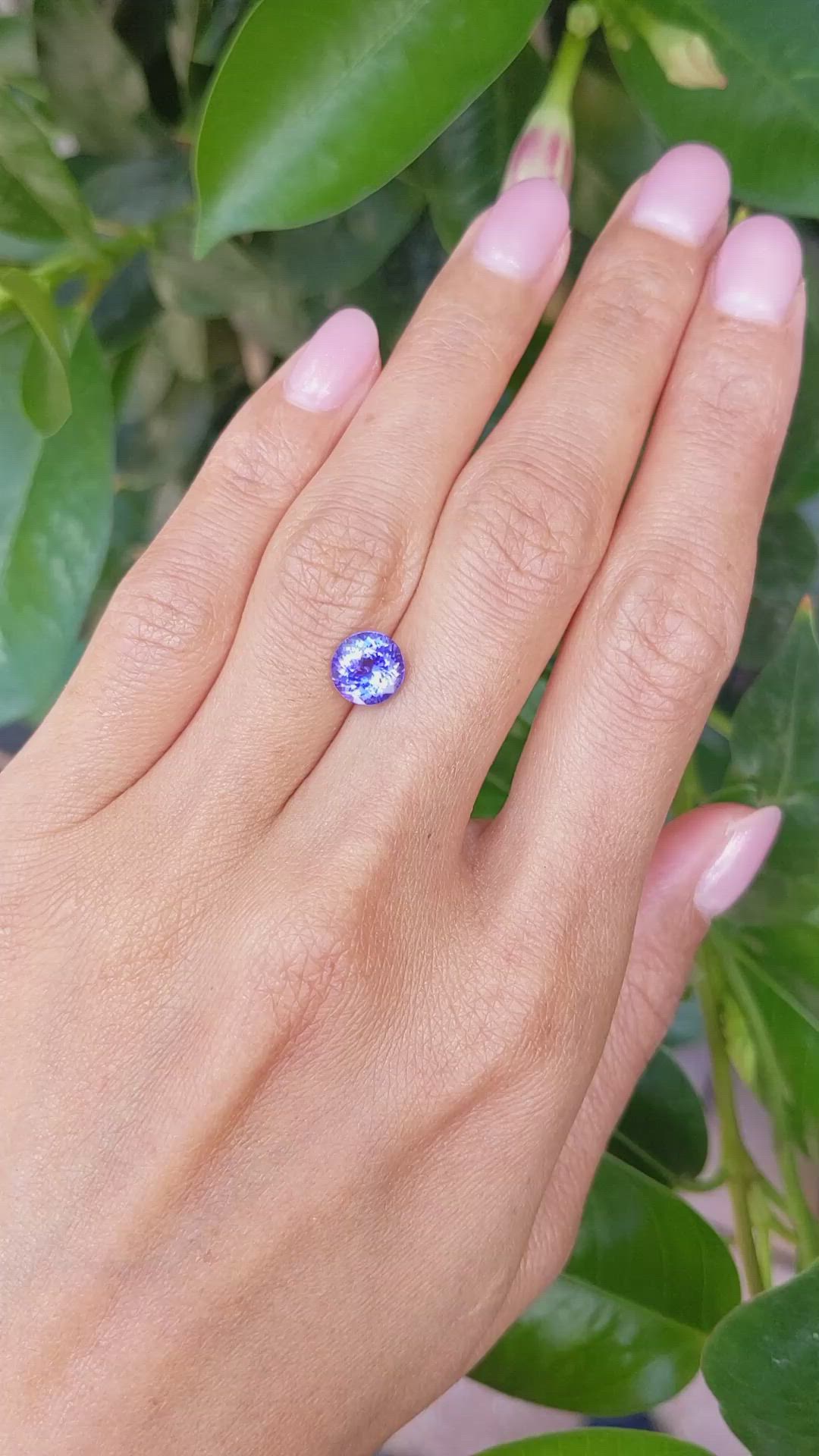 1.71 Ct. Tanzanite from Tanzania Size Video