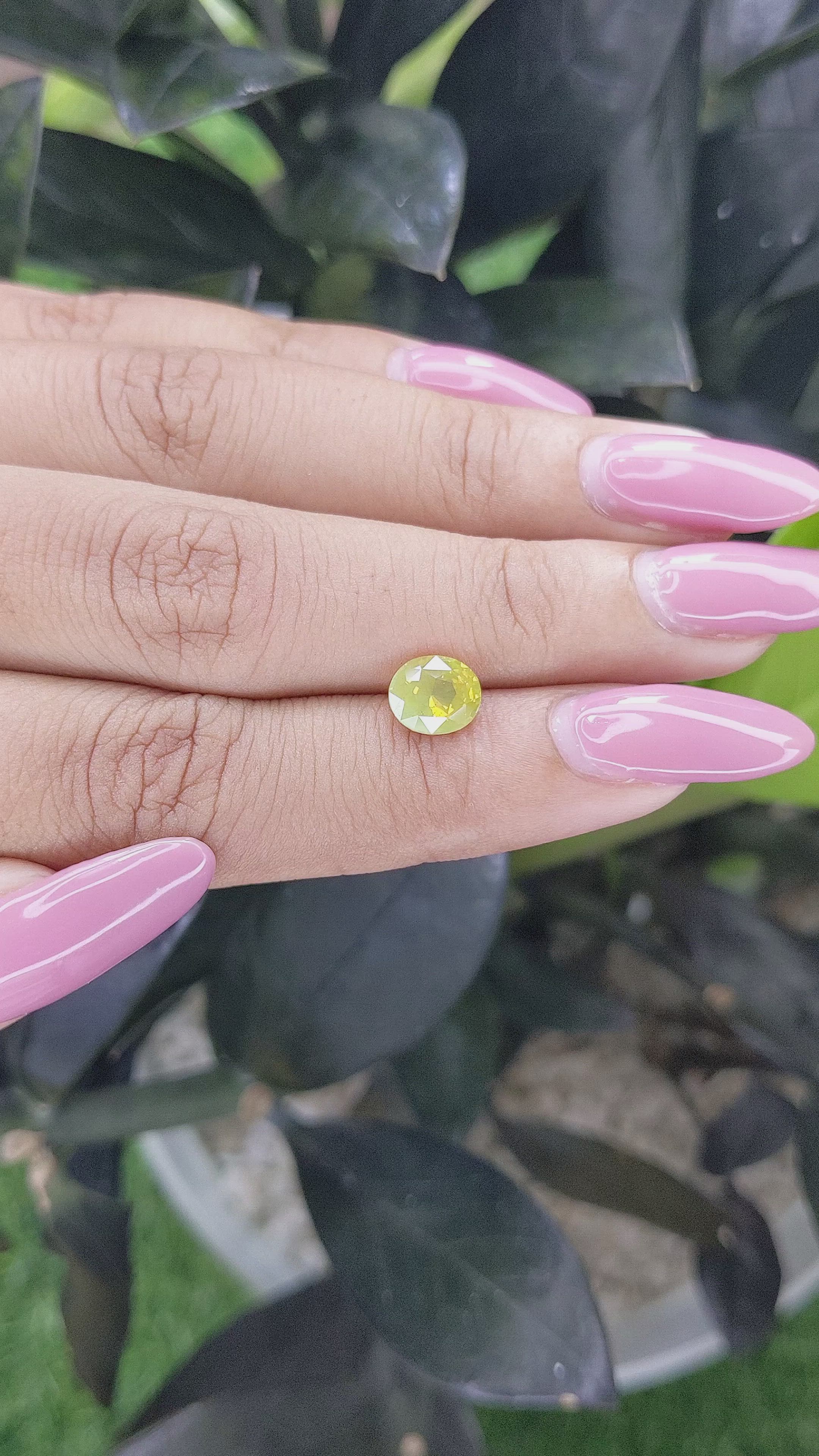 1.53 Ct. Chrysoberyl from Ceylon (Sri Lanka) Size Video
