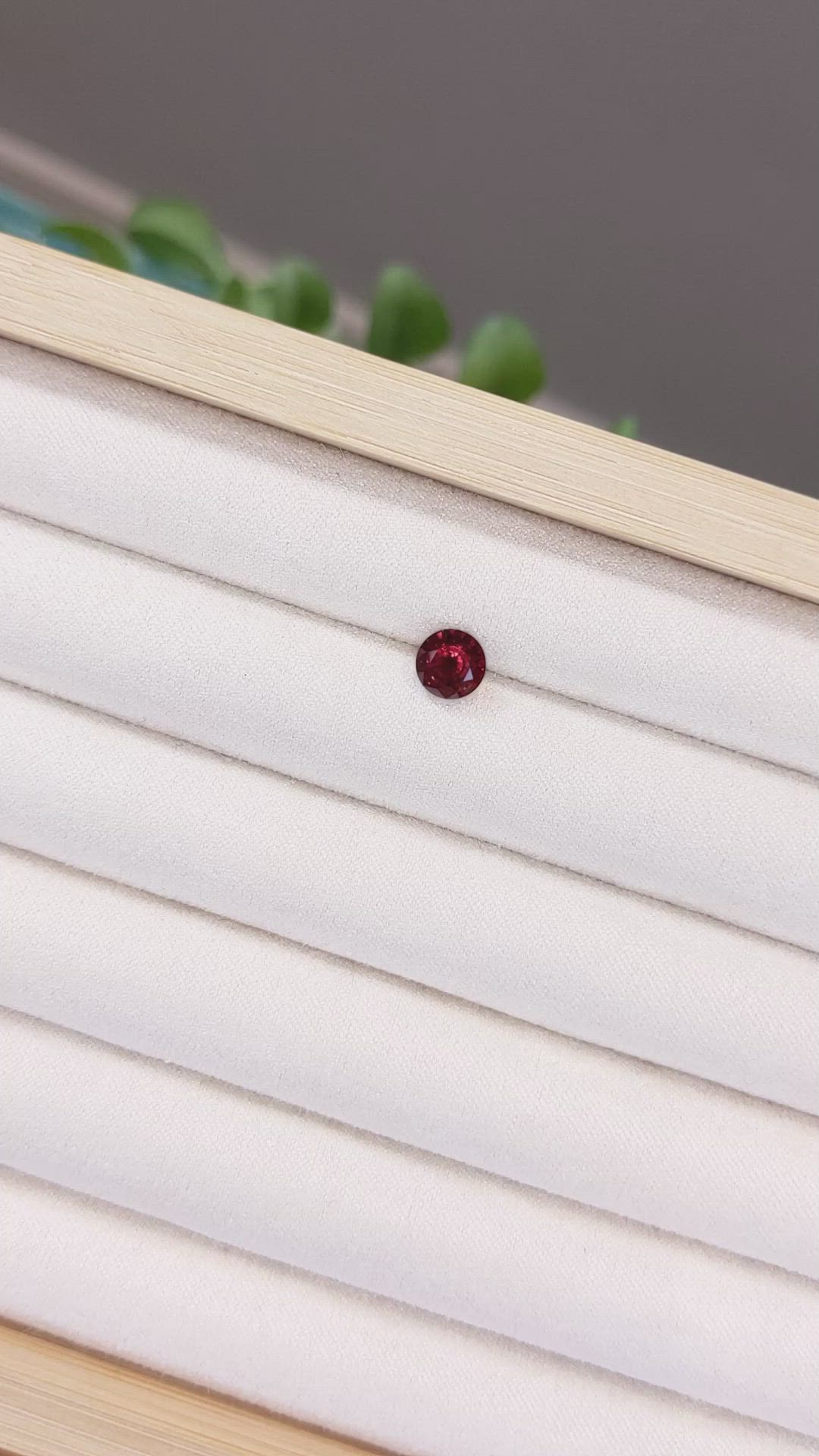 1.68 Ct. Garnet from Ceylon (Sri Lanka) Size Video