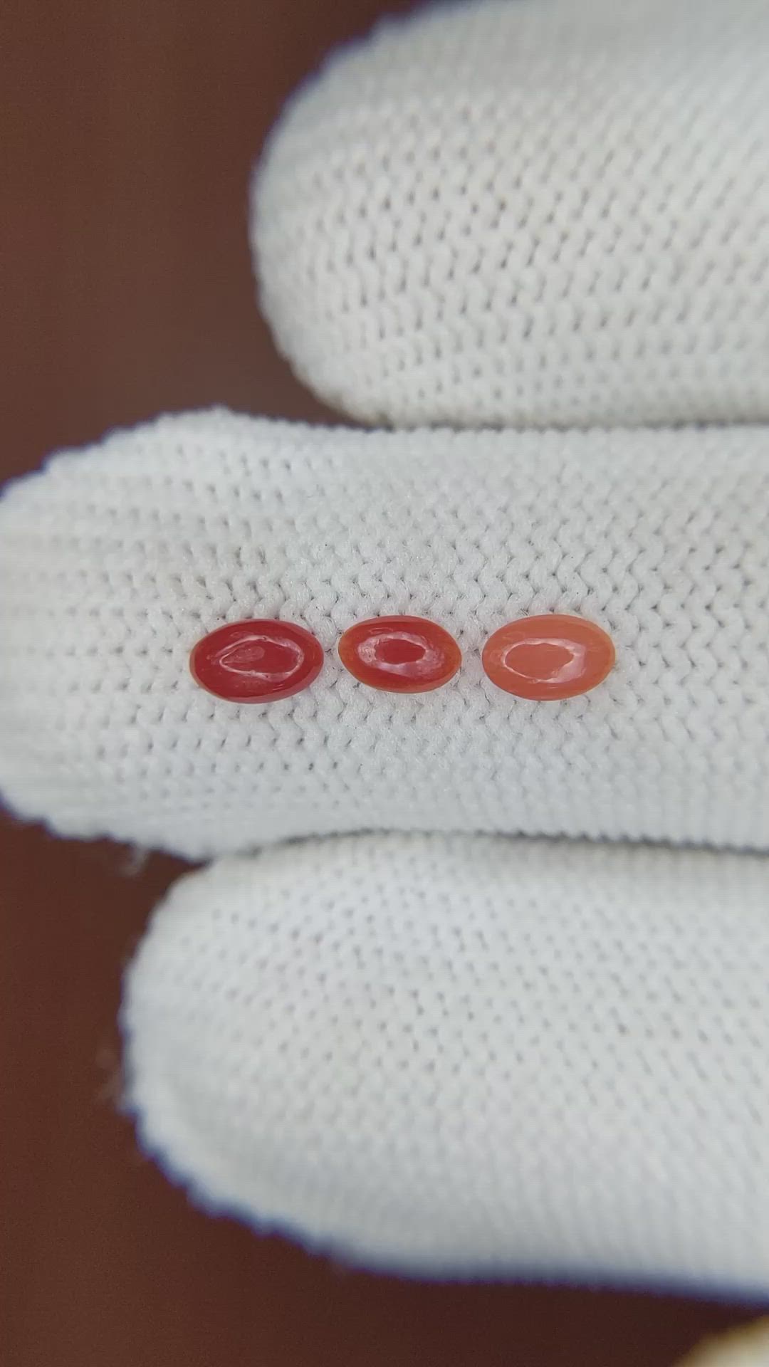 141.75 Ct. Cabochon Coral from Italy Size Video