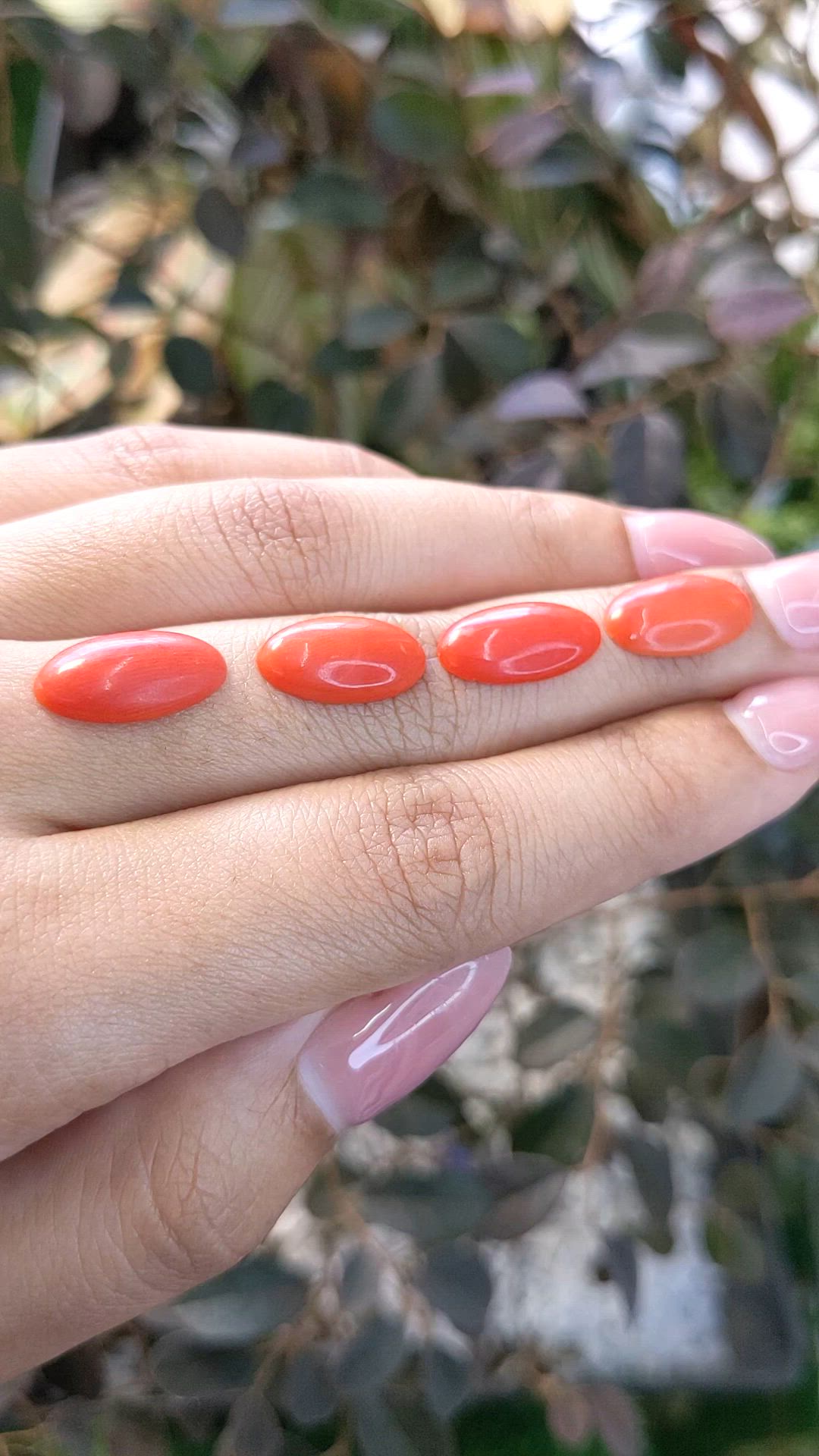 10.47 Ct. Cabochon Coral from Italy Size Video