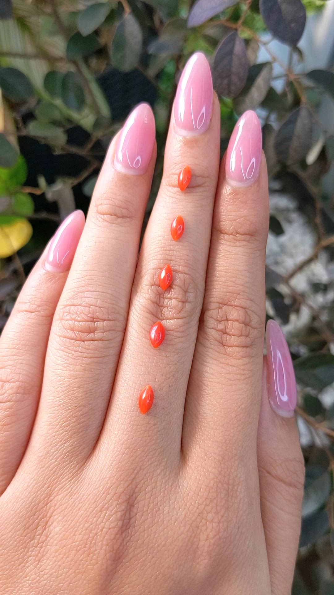 3.37 Ct. Cabochon Coral from Italy Size Video