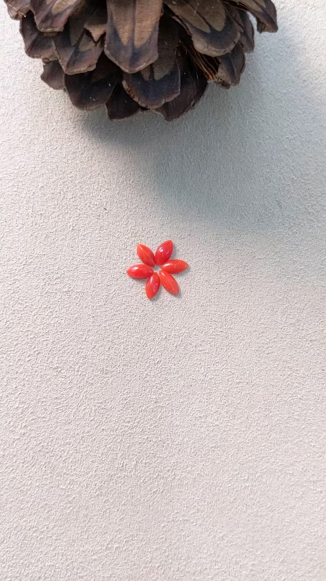 3.37 Ct. Cabochon Coral from Italy Size Video